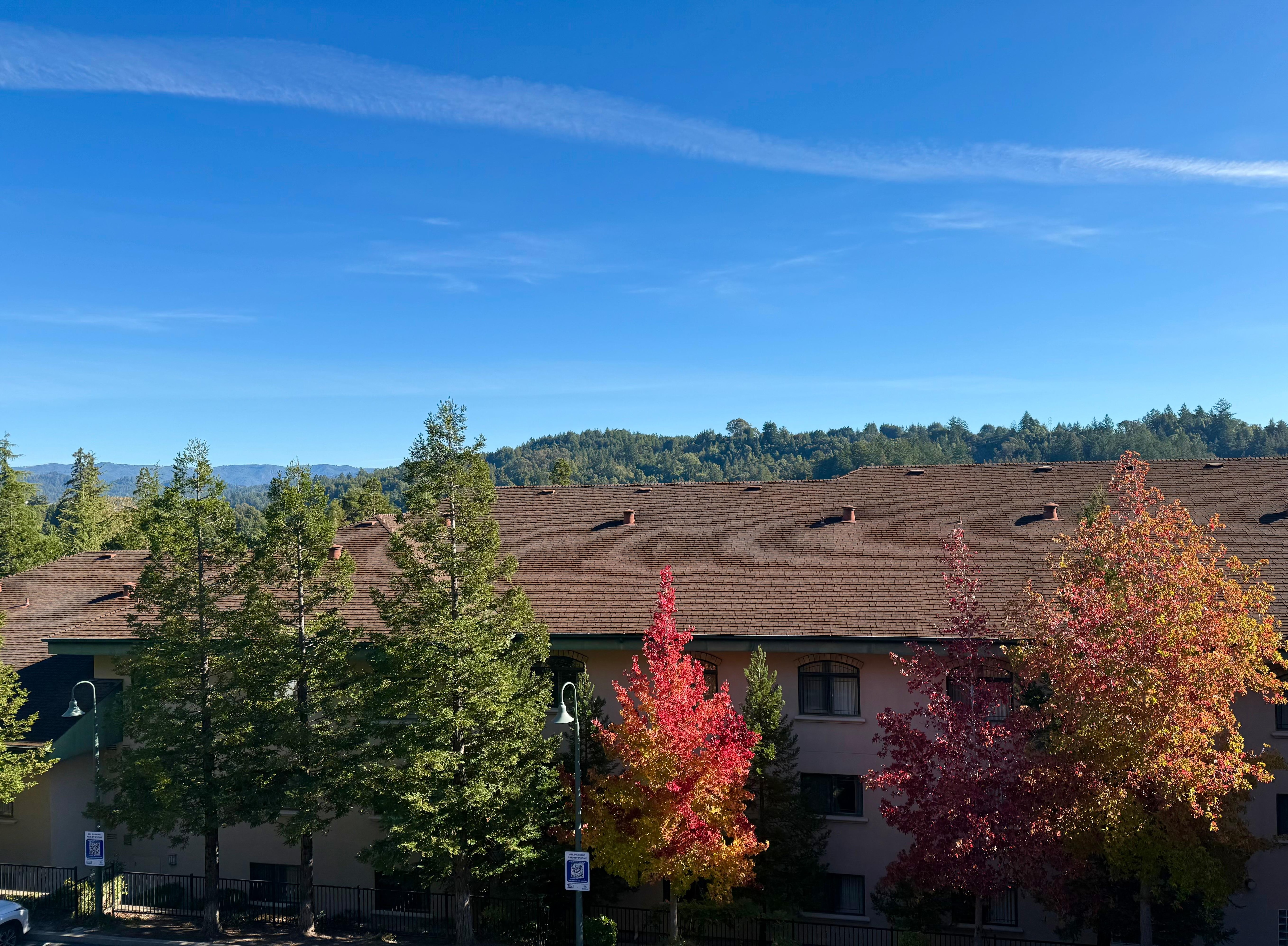 View from our window