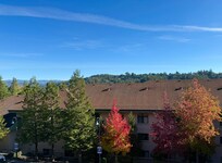 View from our window