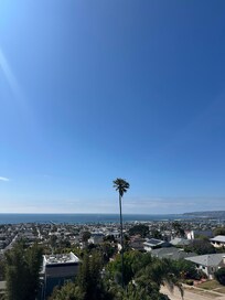 Rooftop view