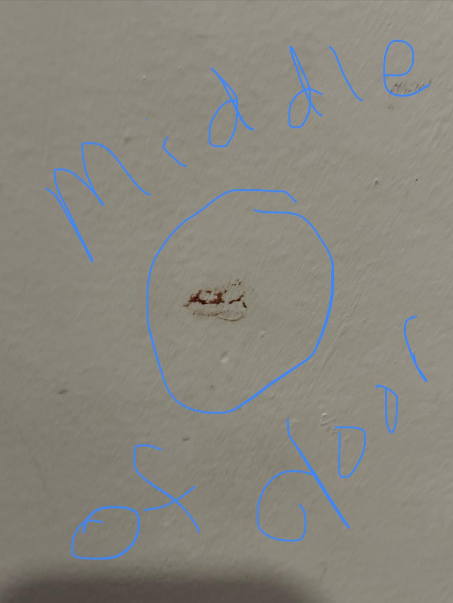 Appears to be something disgusting on front of door.