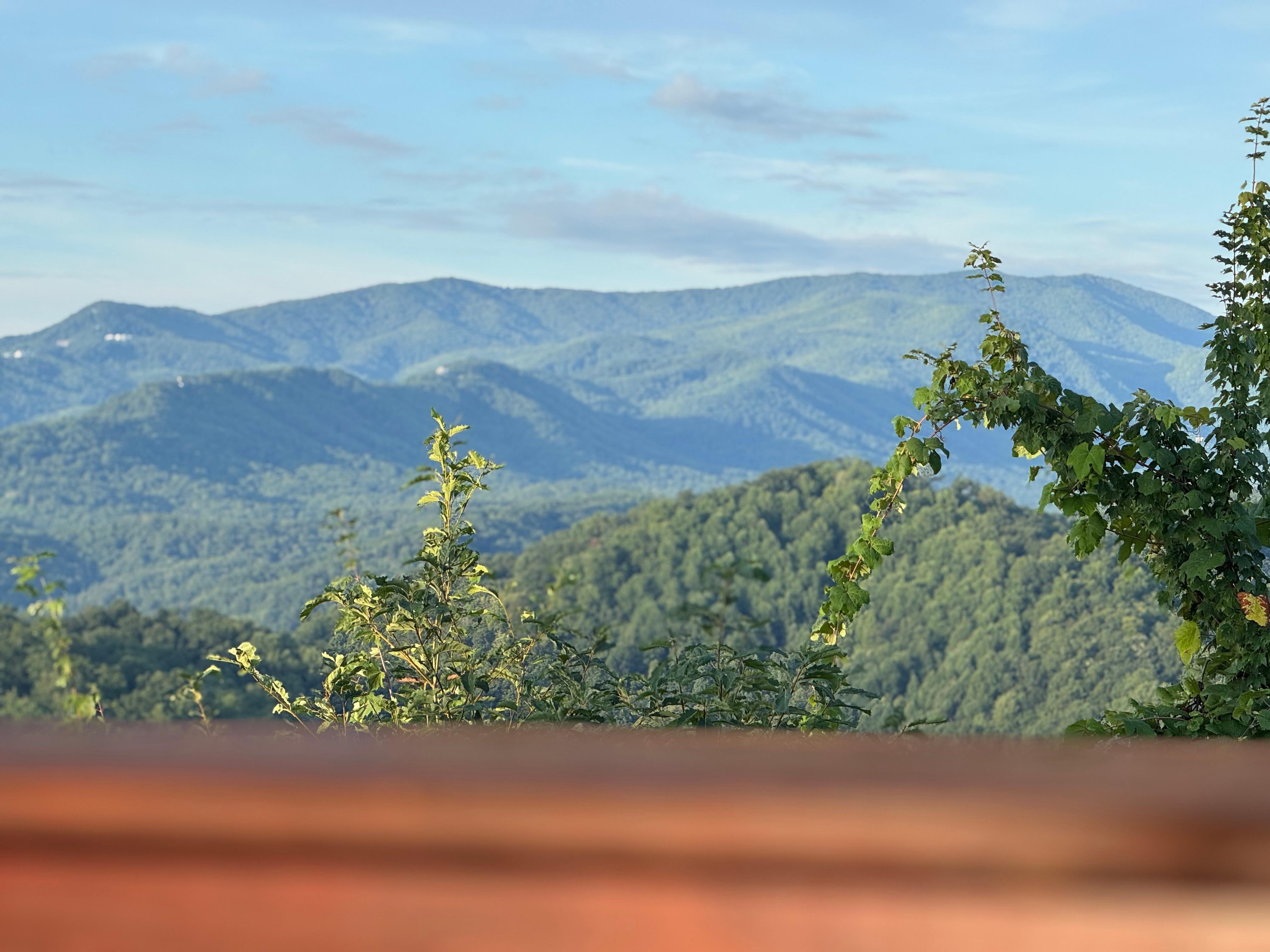 View from master bedroom up stairs