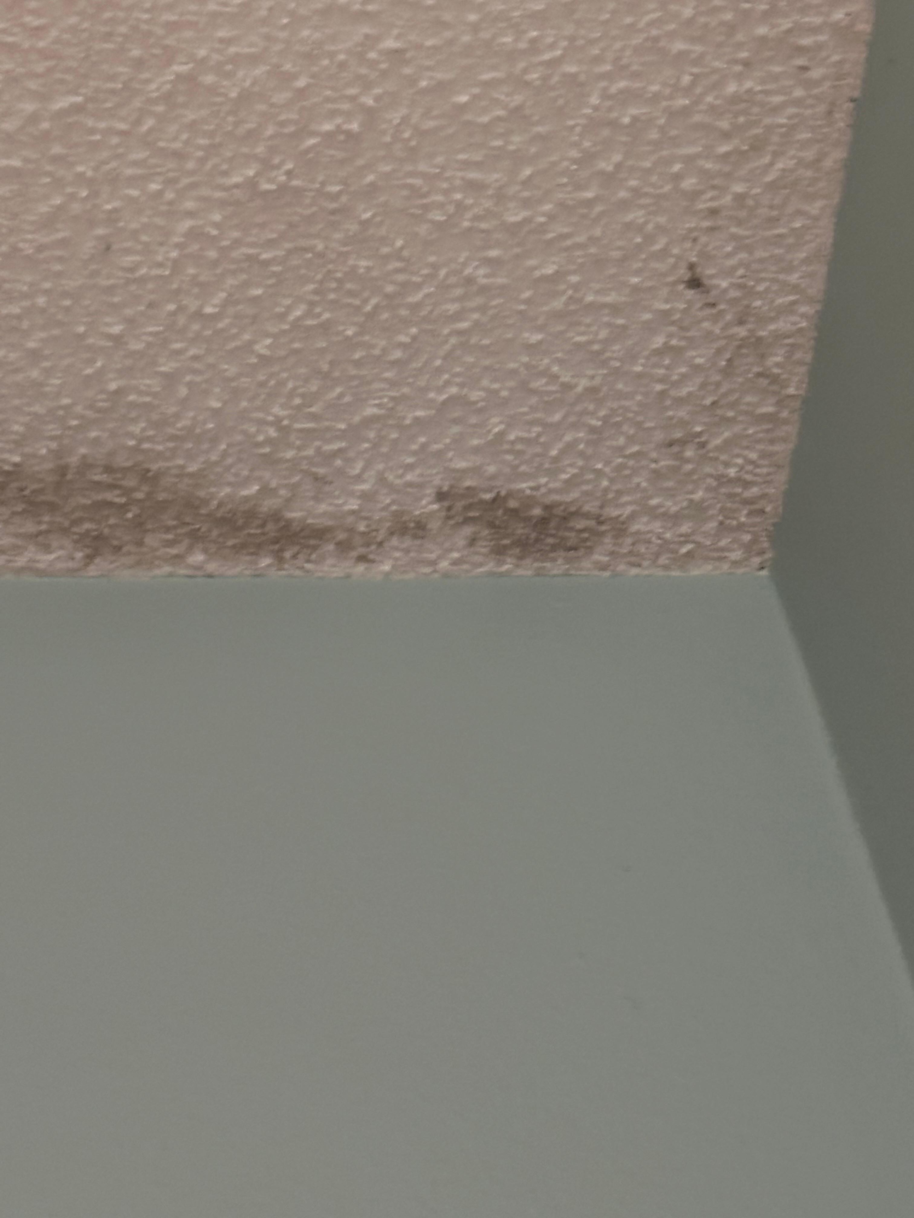 Leak in ceiling 