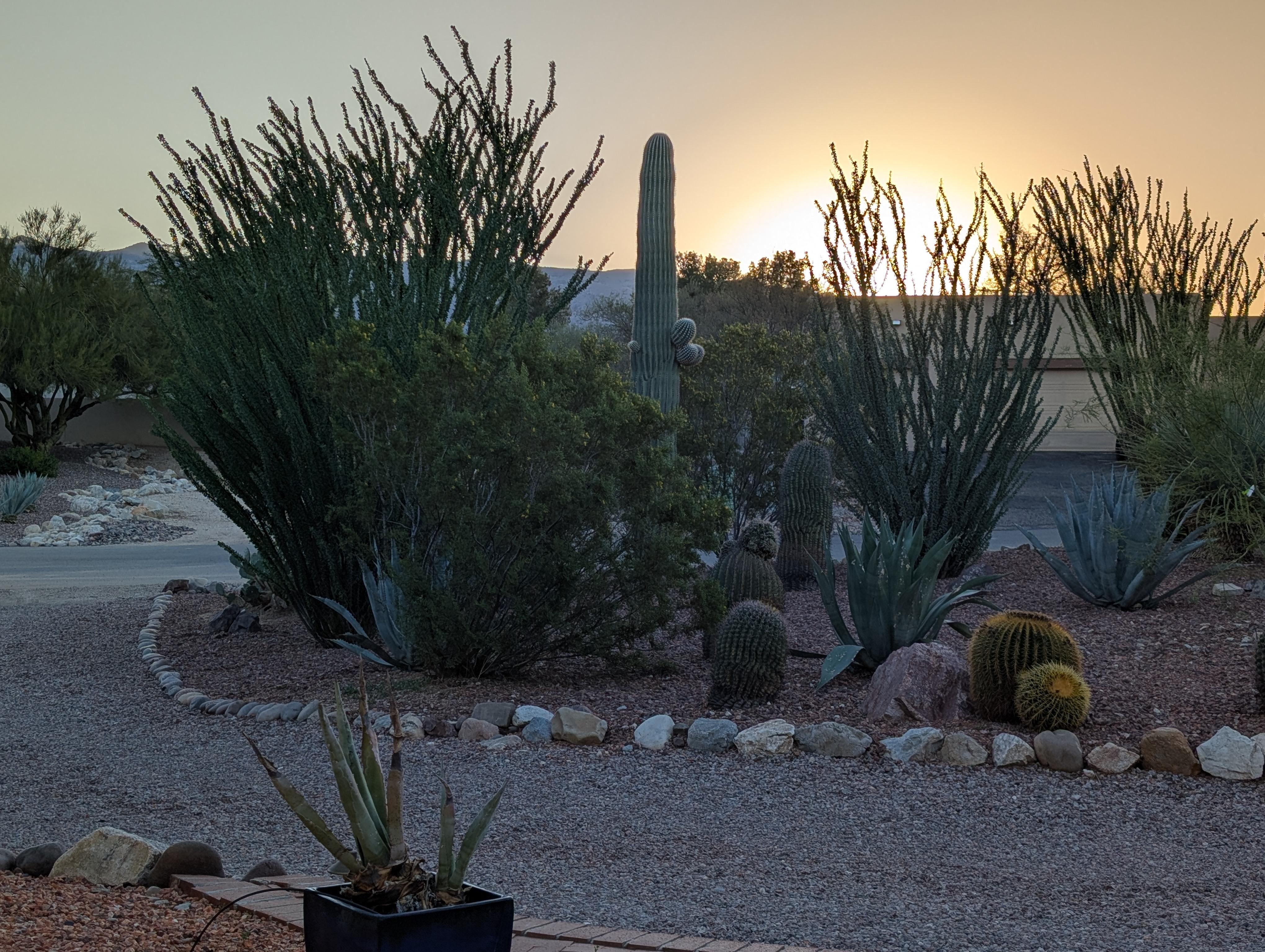 sunrise from the front of the house