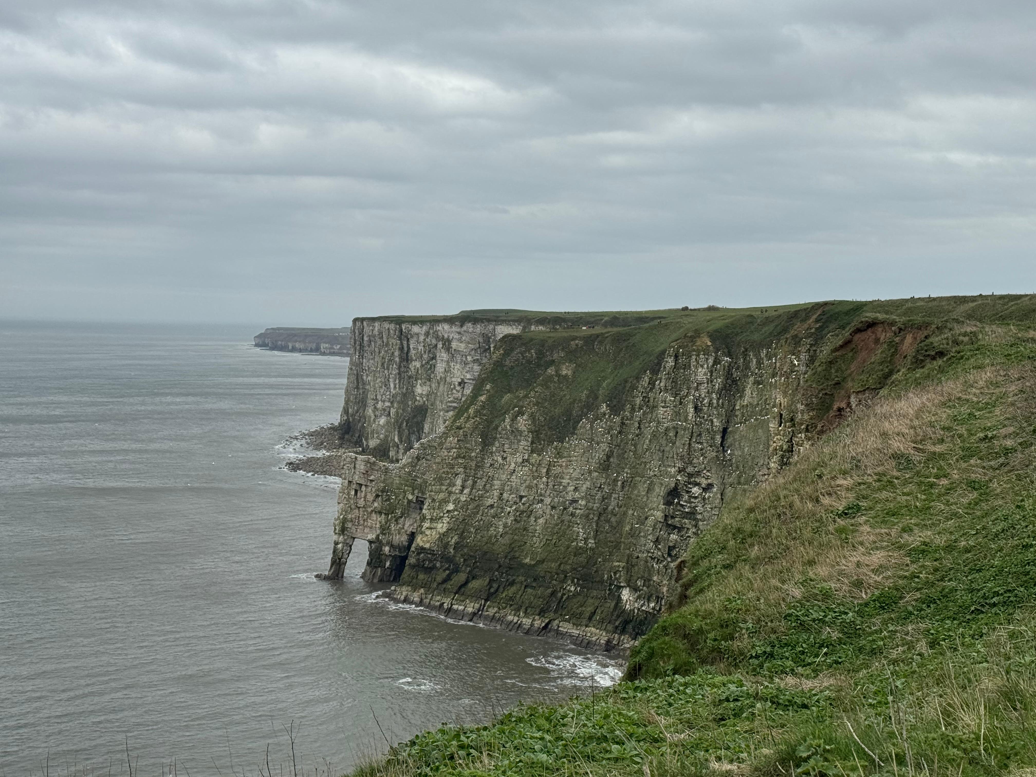 Everywhere beauty surrounds you 