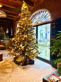 Gorgeous at Christmas