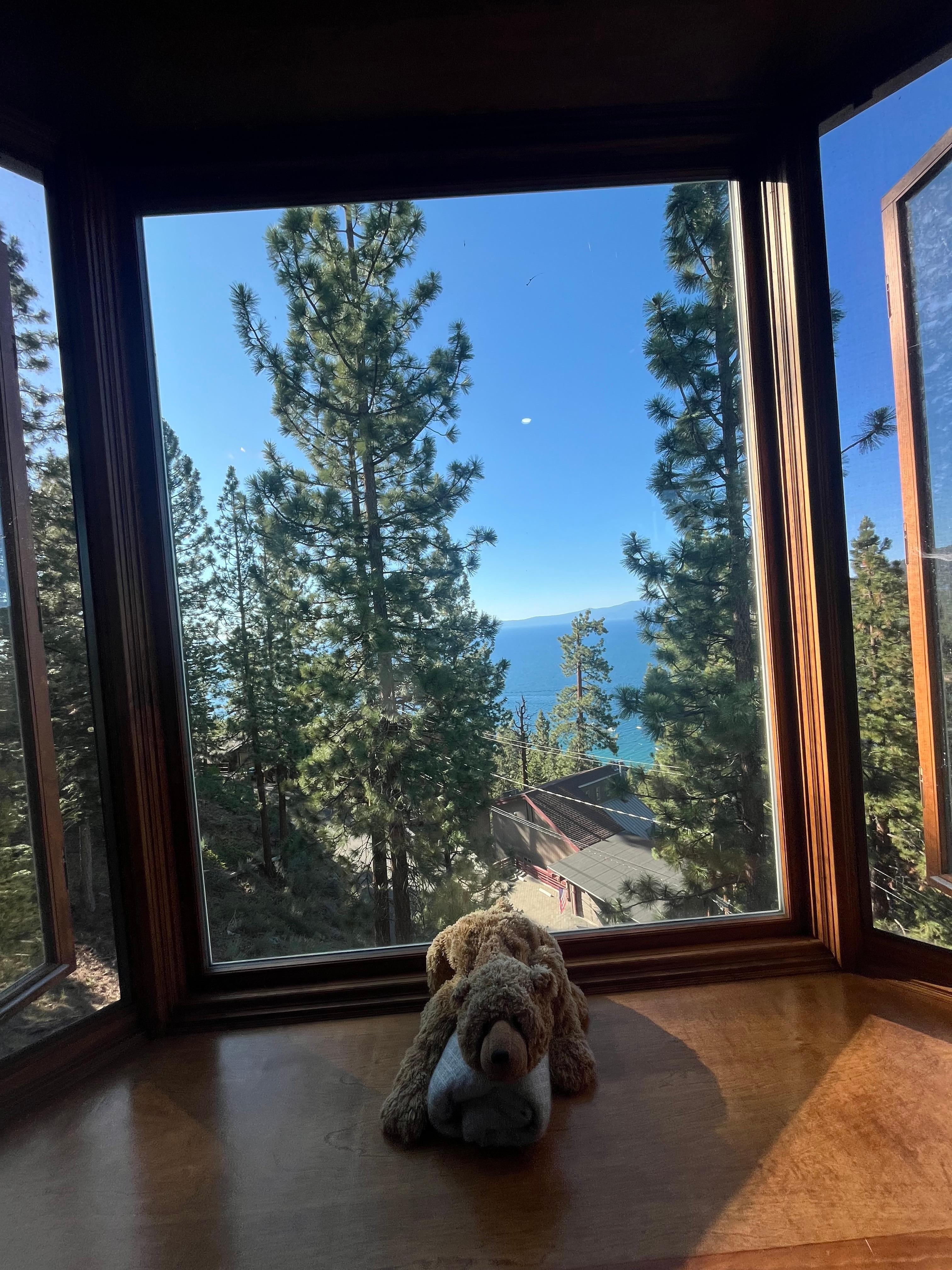 View from living room