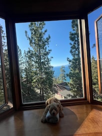 View from living room