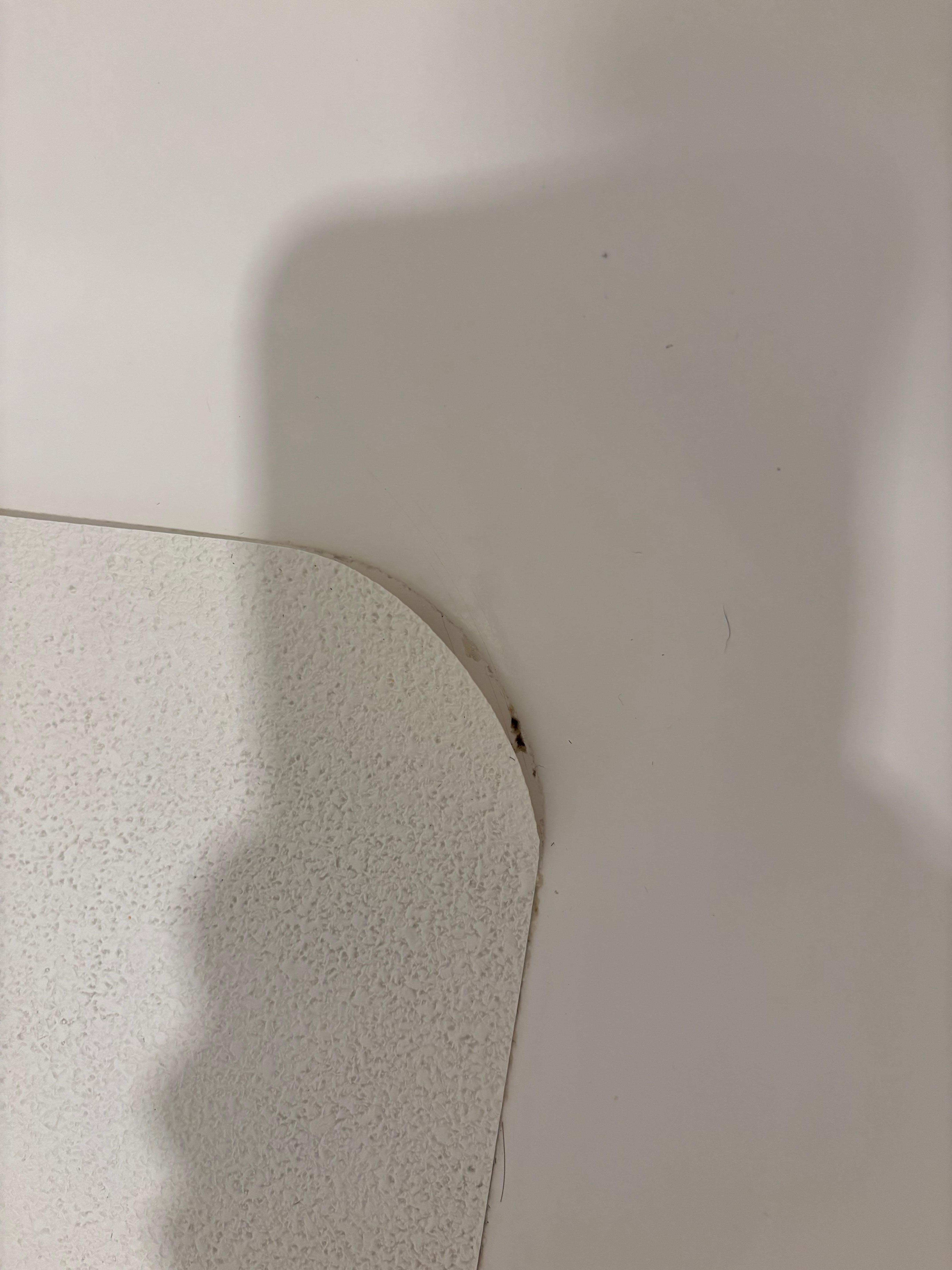 Hair under bathroom mat