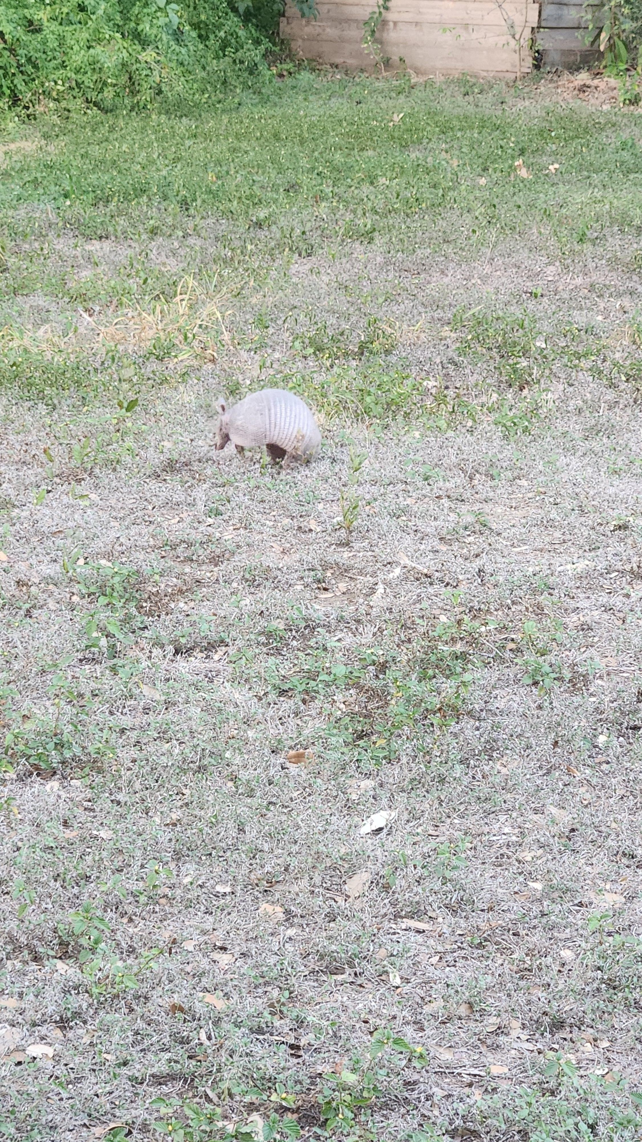 A little visitor, a sweet welcome. 