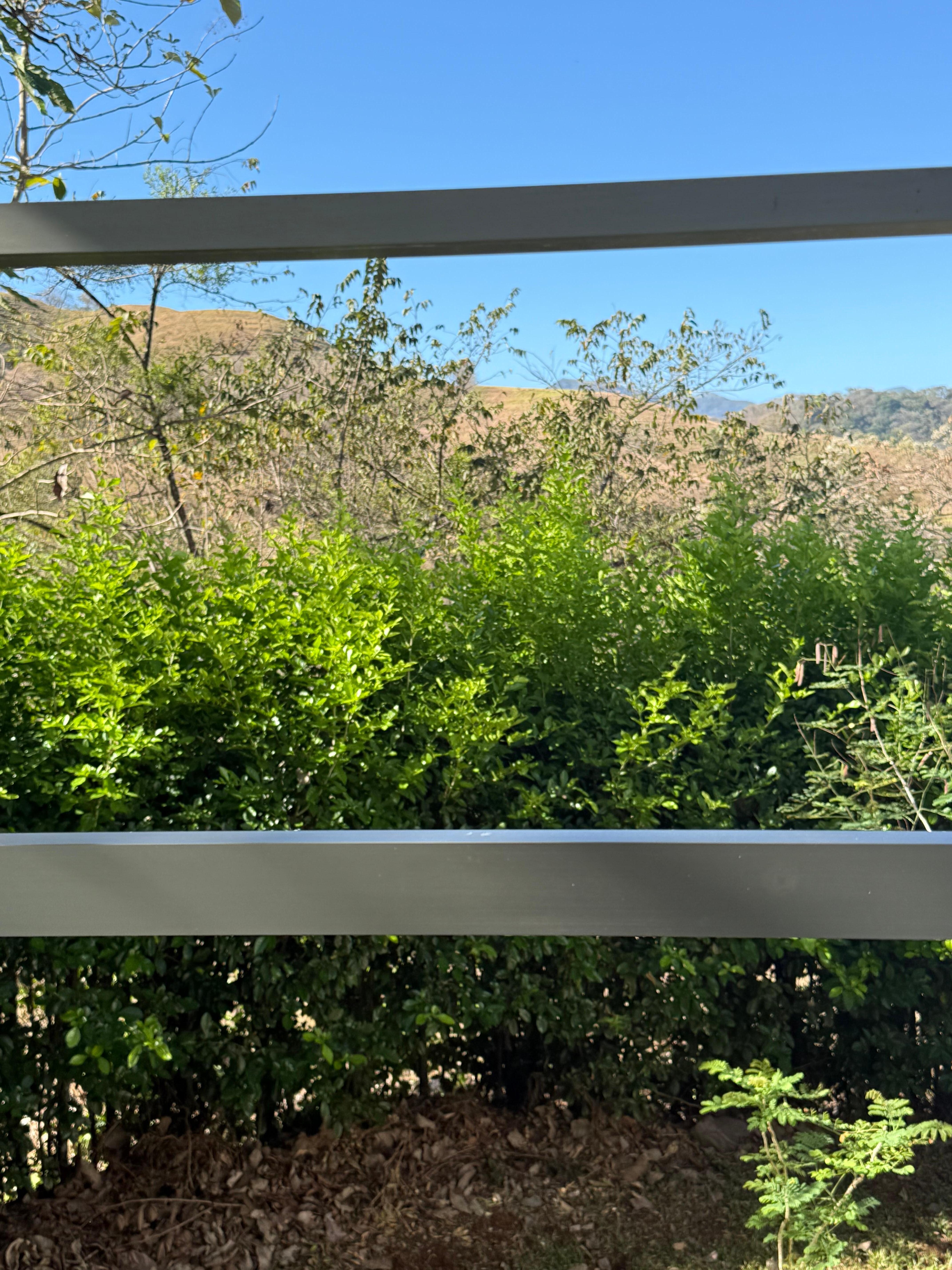 A view from the bedroom balcony 