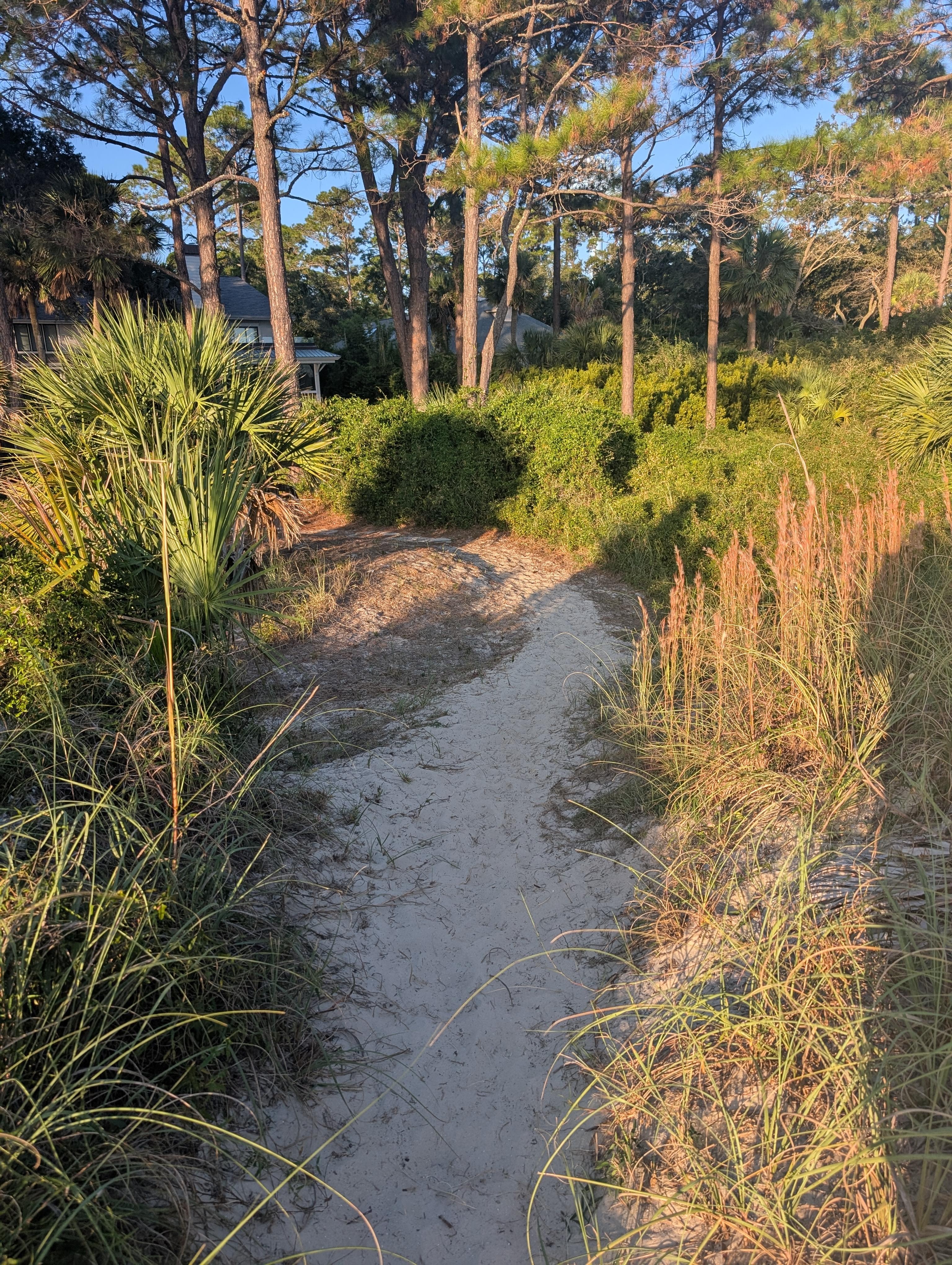 Path to beach
