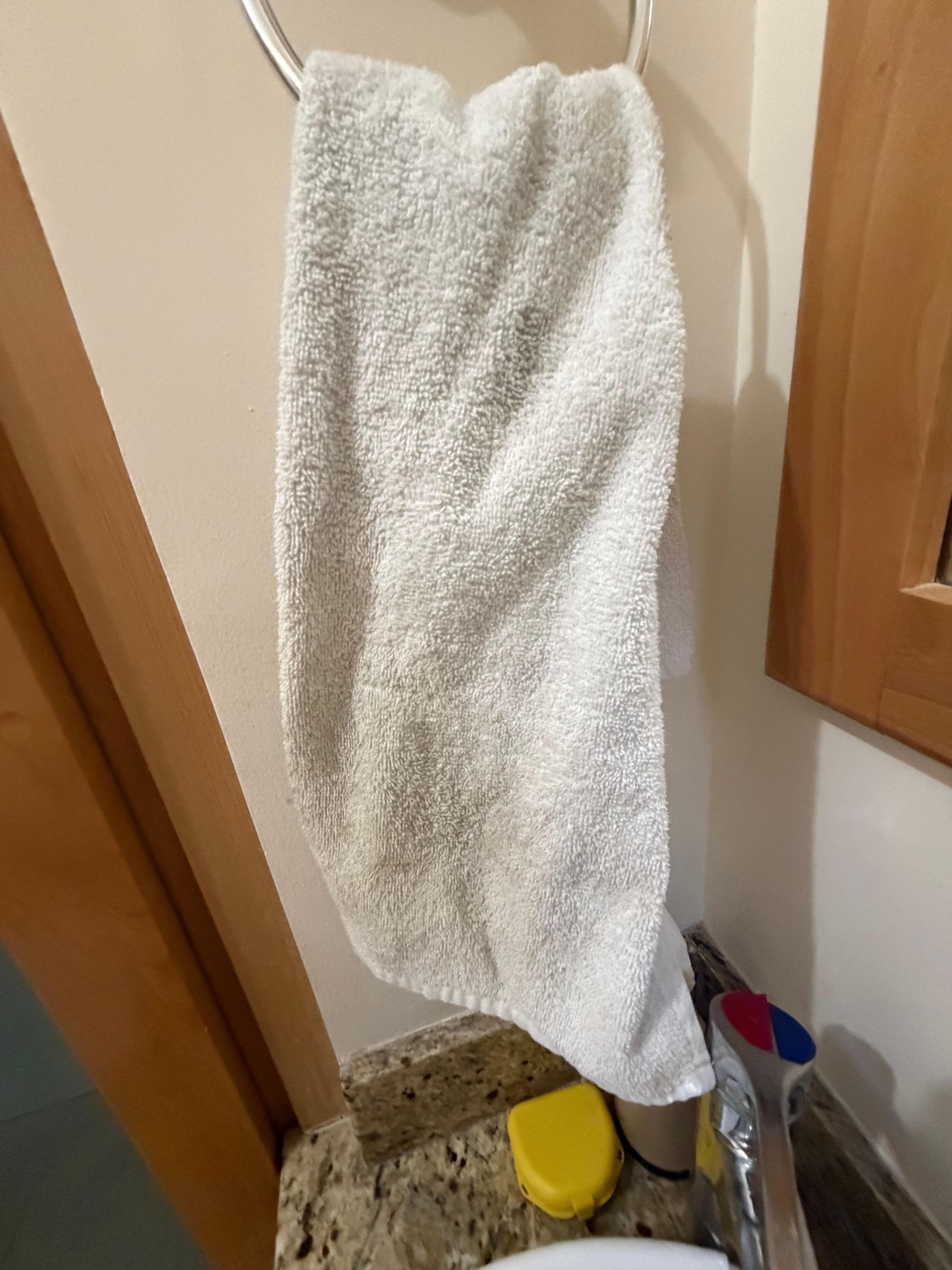 All of the linens (bath towels, dish towels, throws and sheets) did not look clean. This is the stained hand towel in one of the bathrooms.