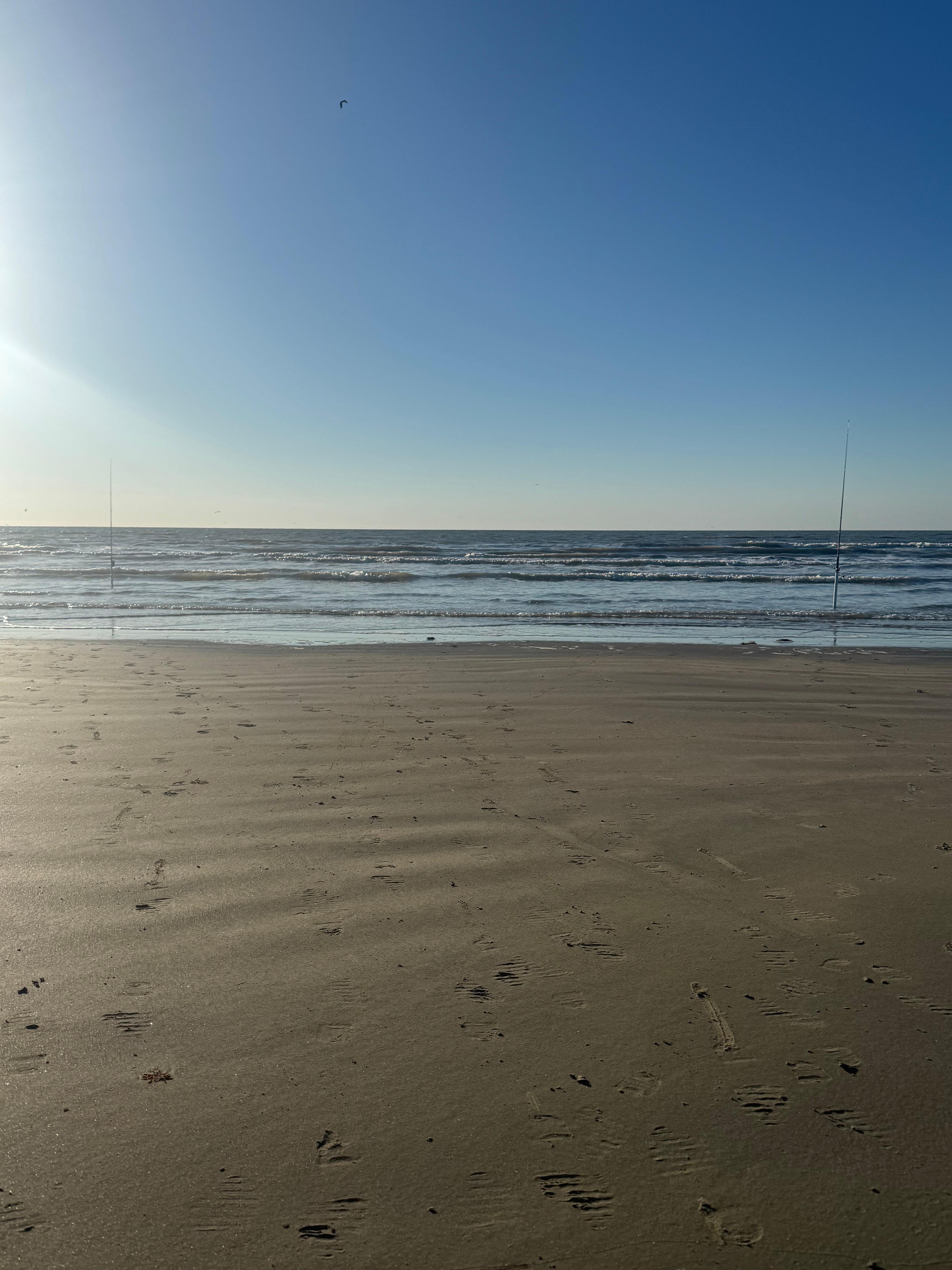 Great beach view from the house. 