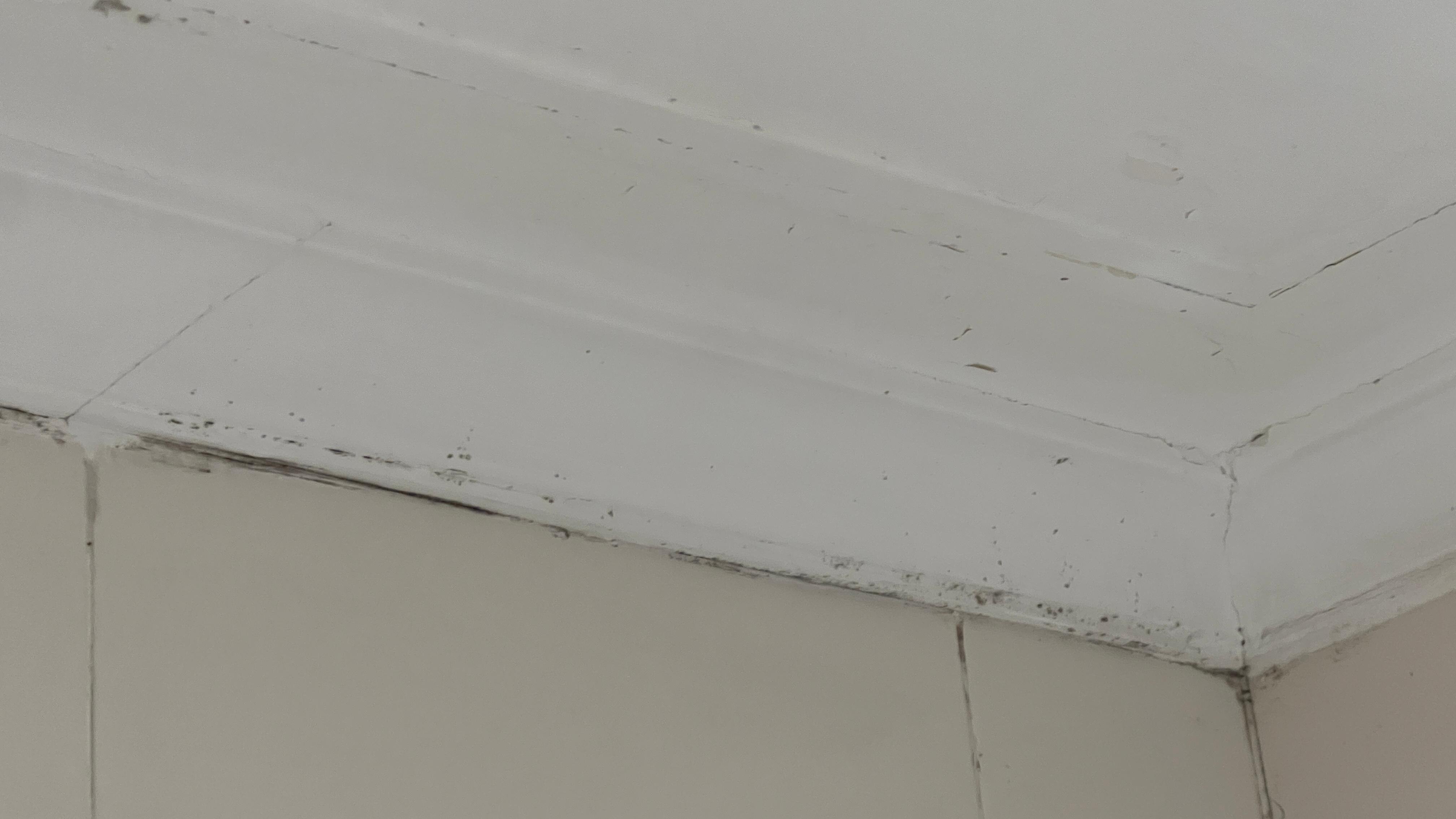 Mold found at bathroom