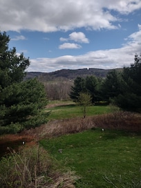 The view