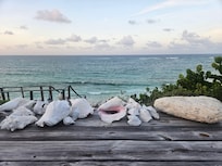 View from the deck