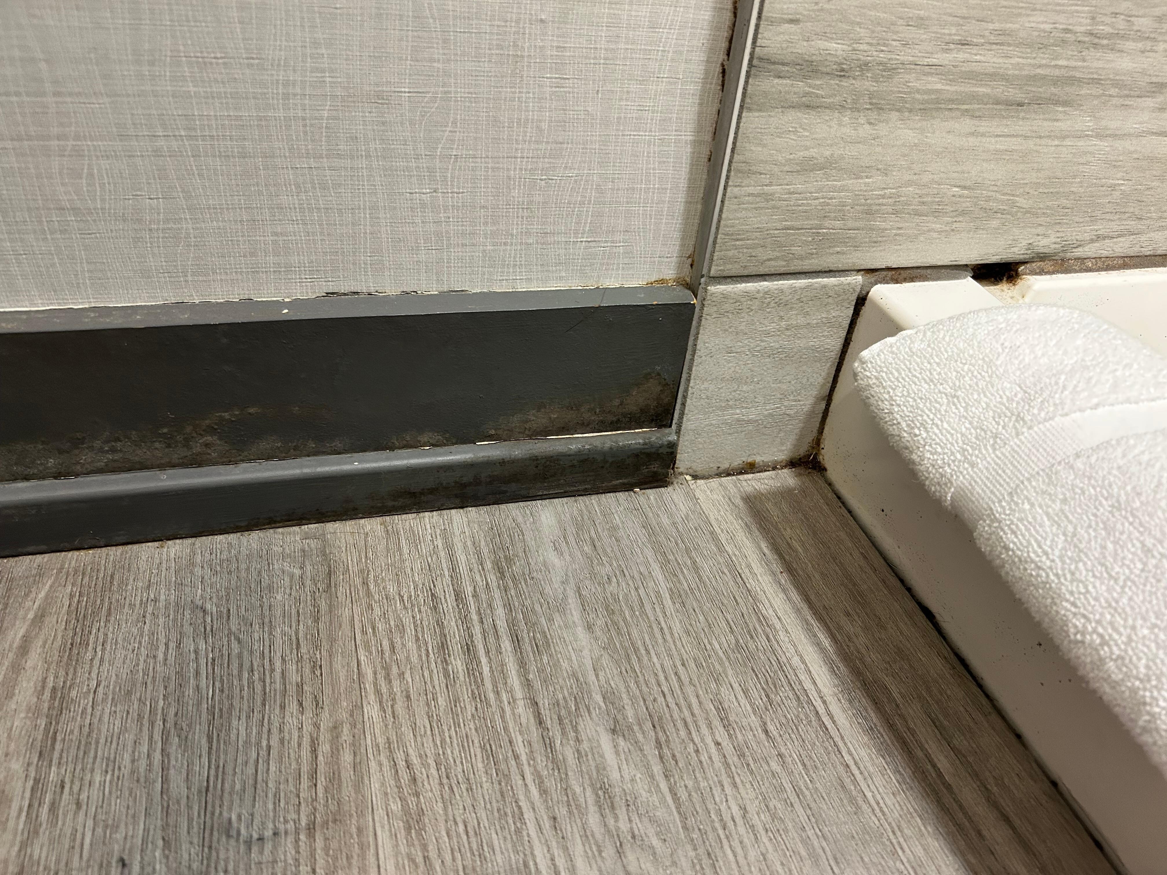 Baseboard in bathroom is dirty.