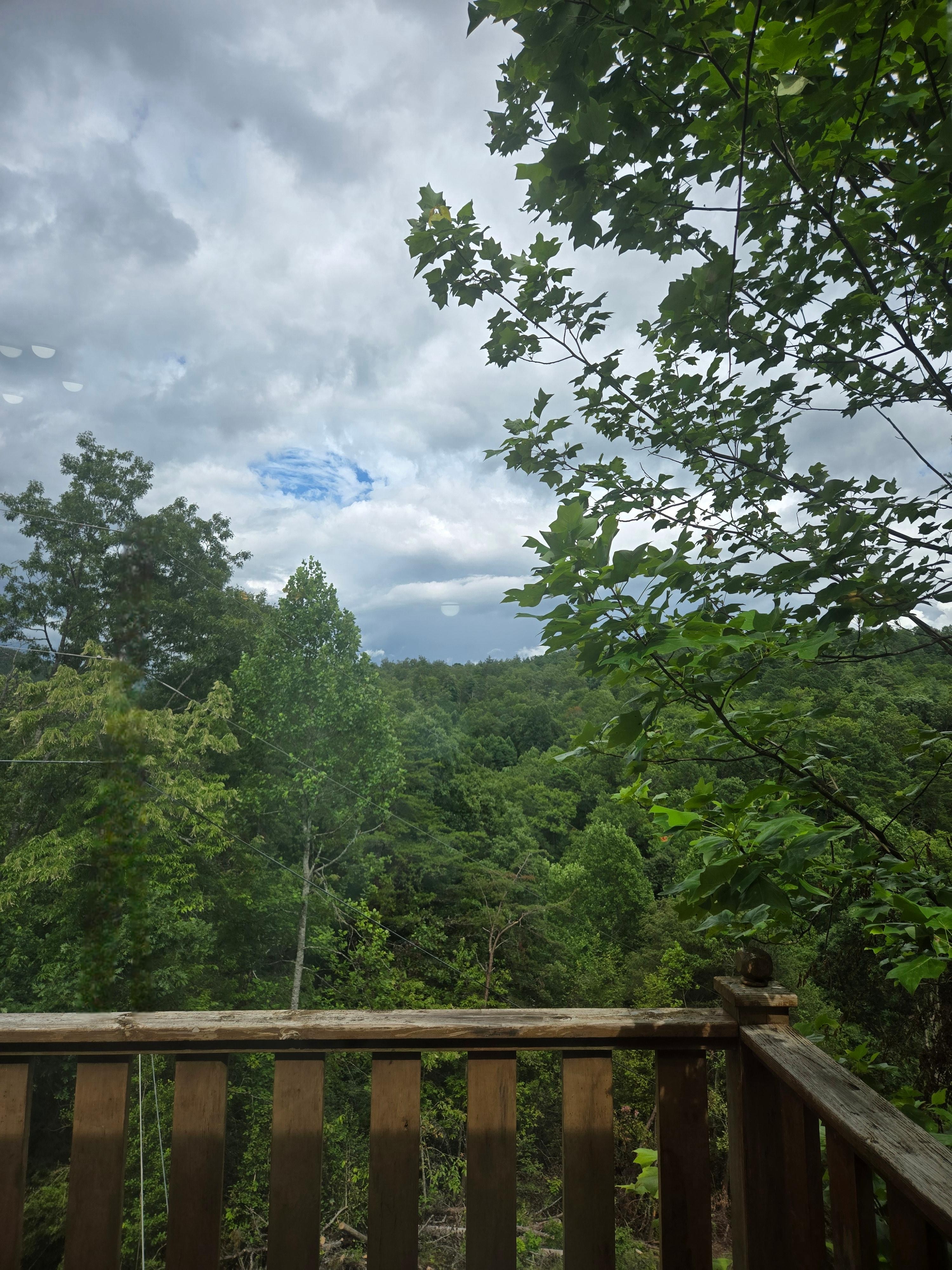 View from the back patio
