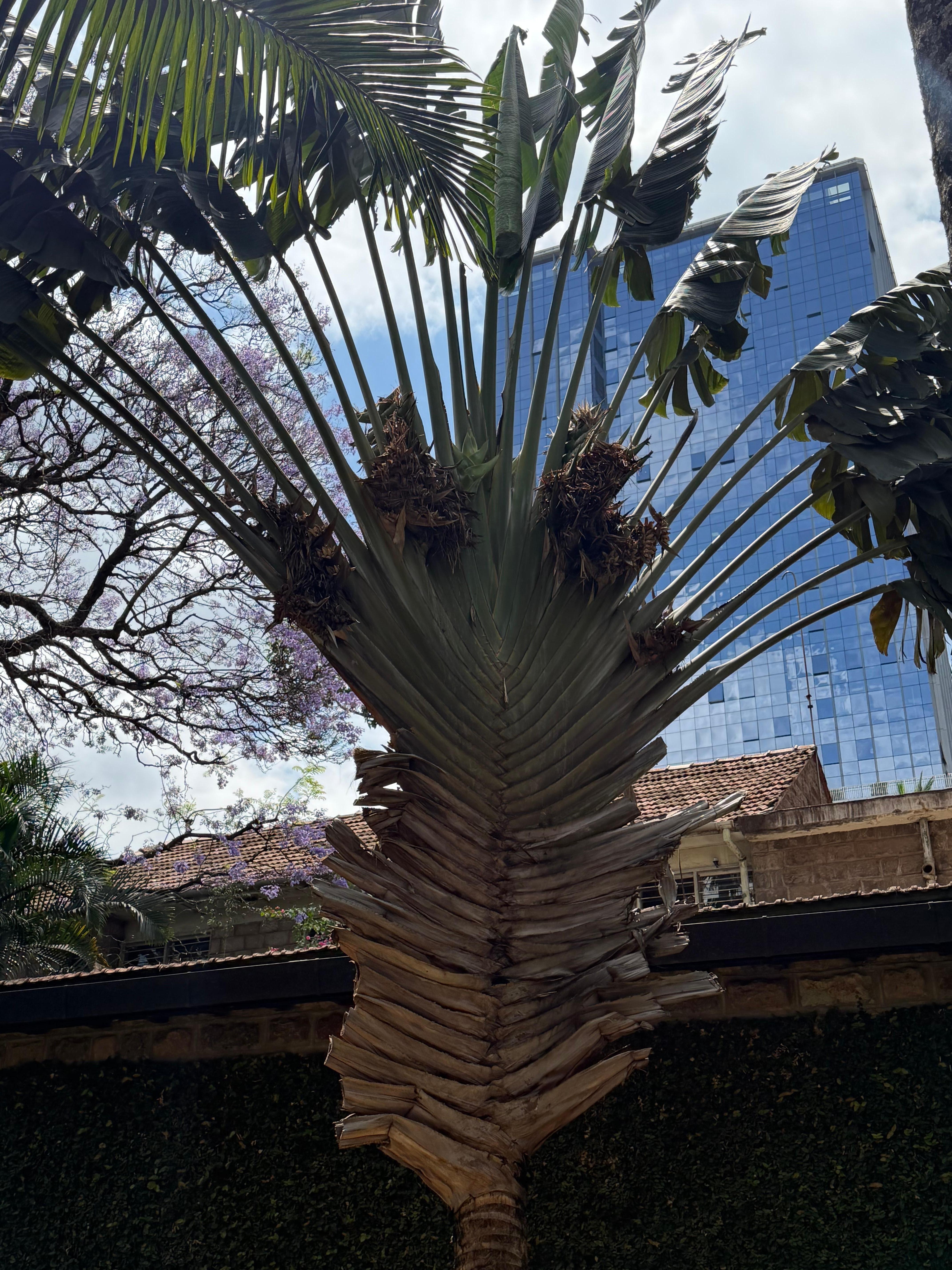 A quiet place in the city. 