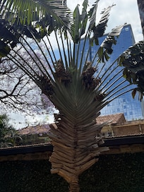 A quiet place in the city.