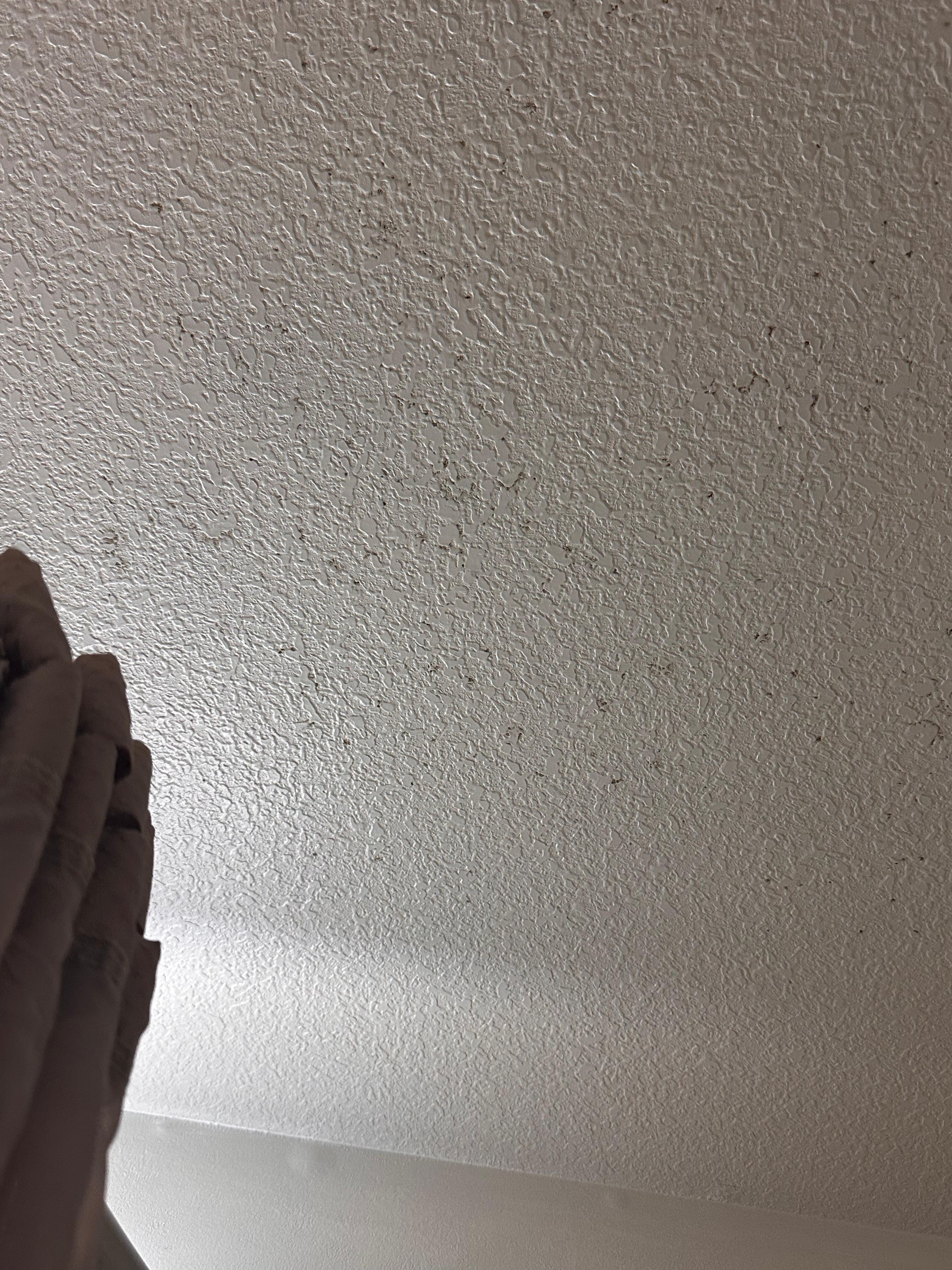 Black mold