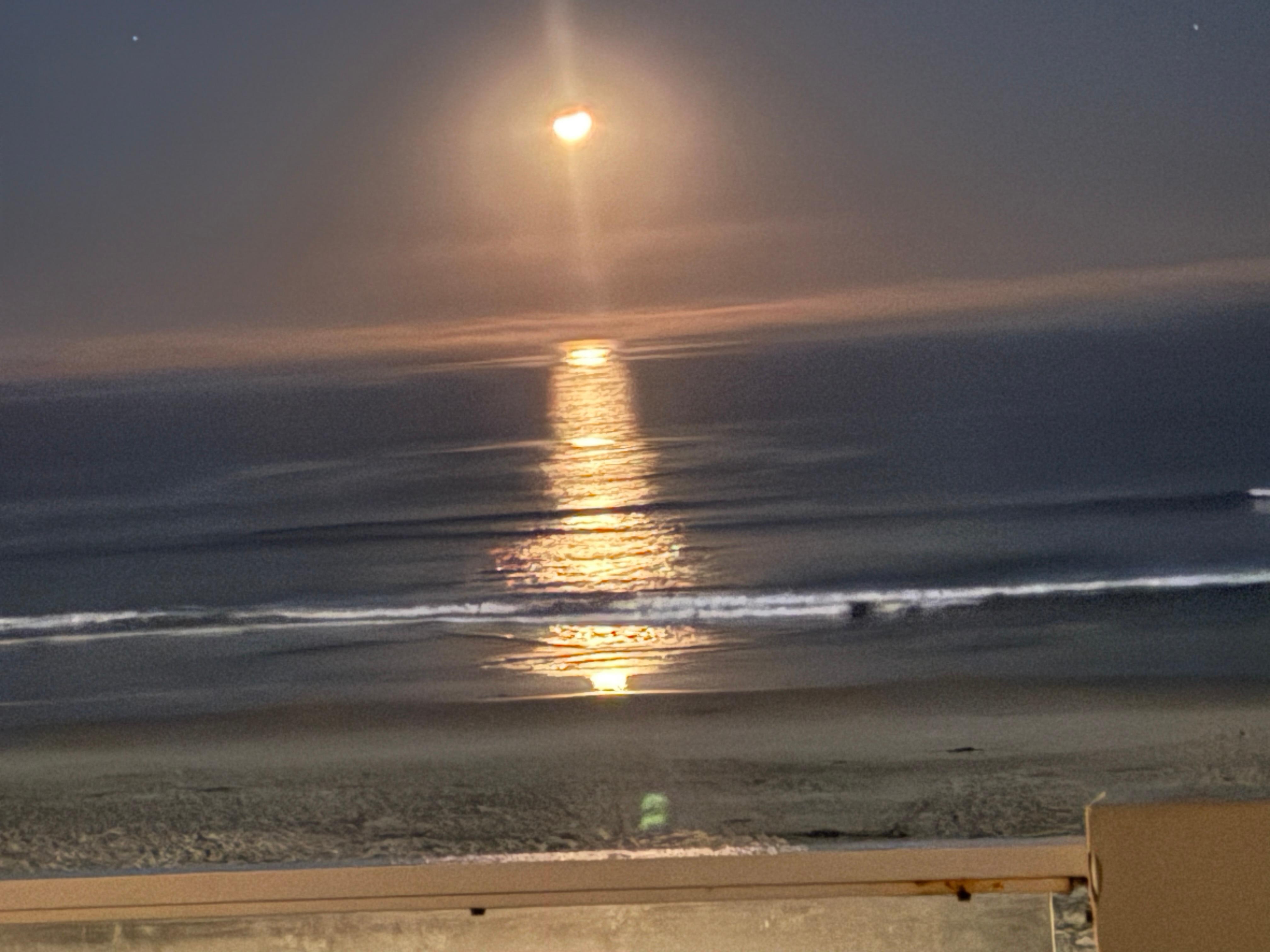 Night view from patio 