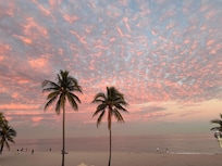 View from shared balcony