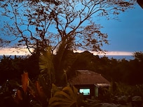 Vue depuis la chambre