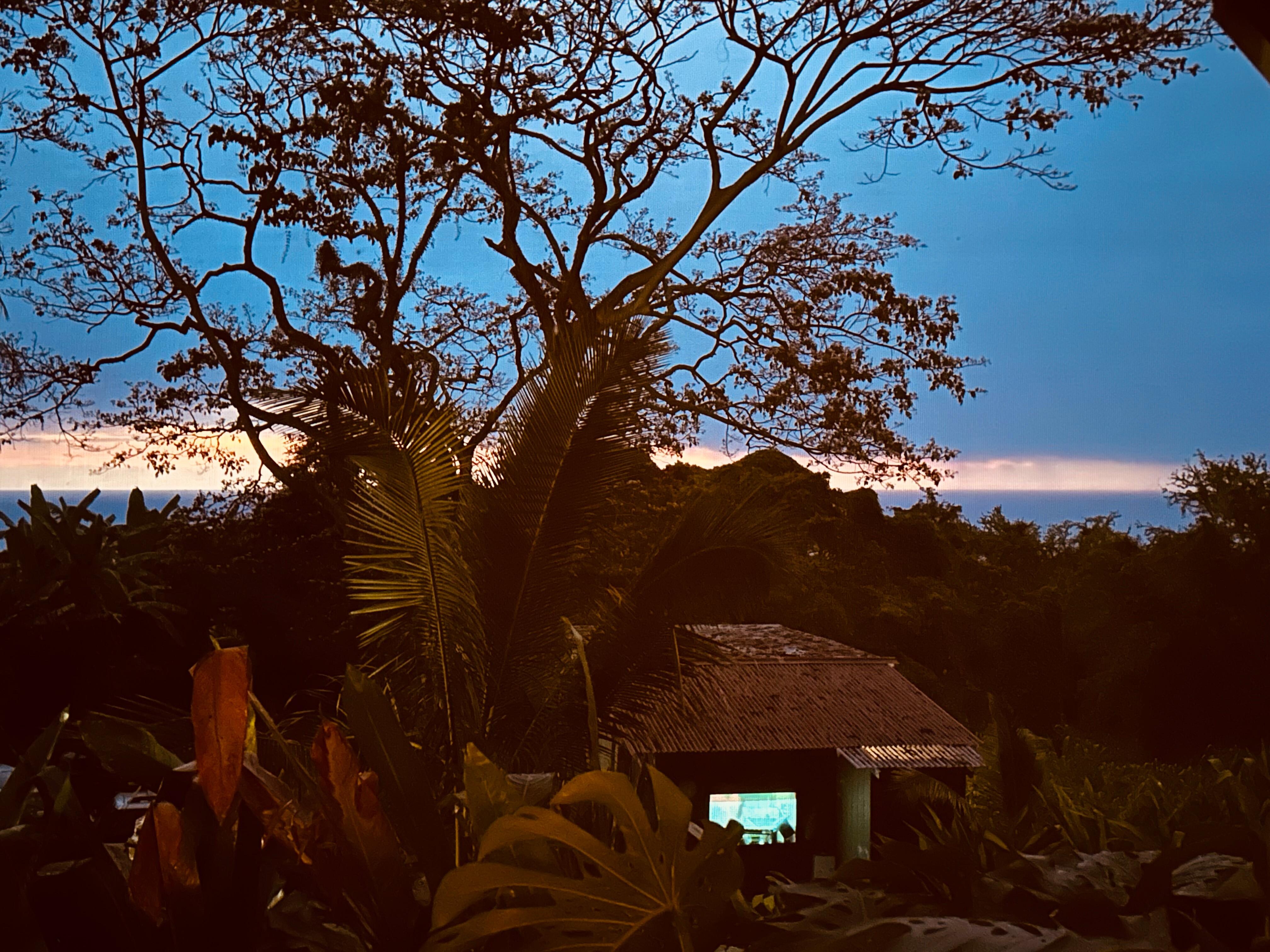 Vue depuis la chambre