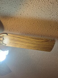 Ceiling fan in one bedroom