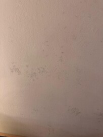Mold on the walls