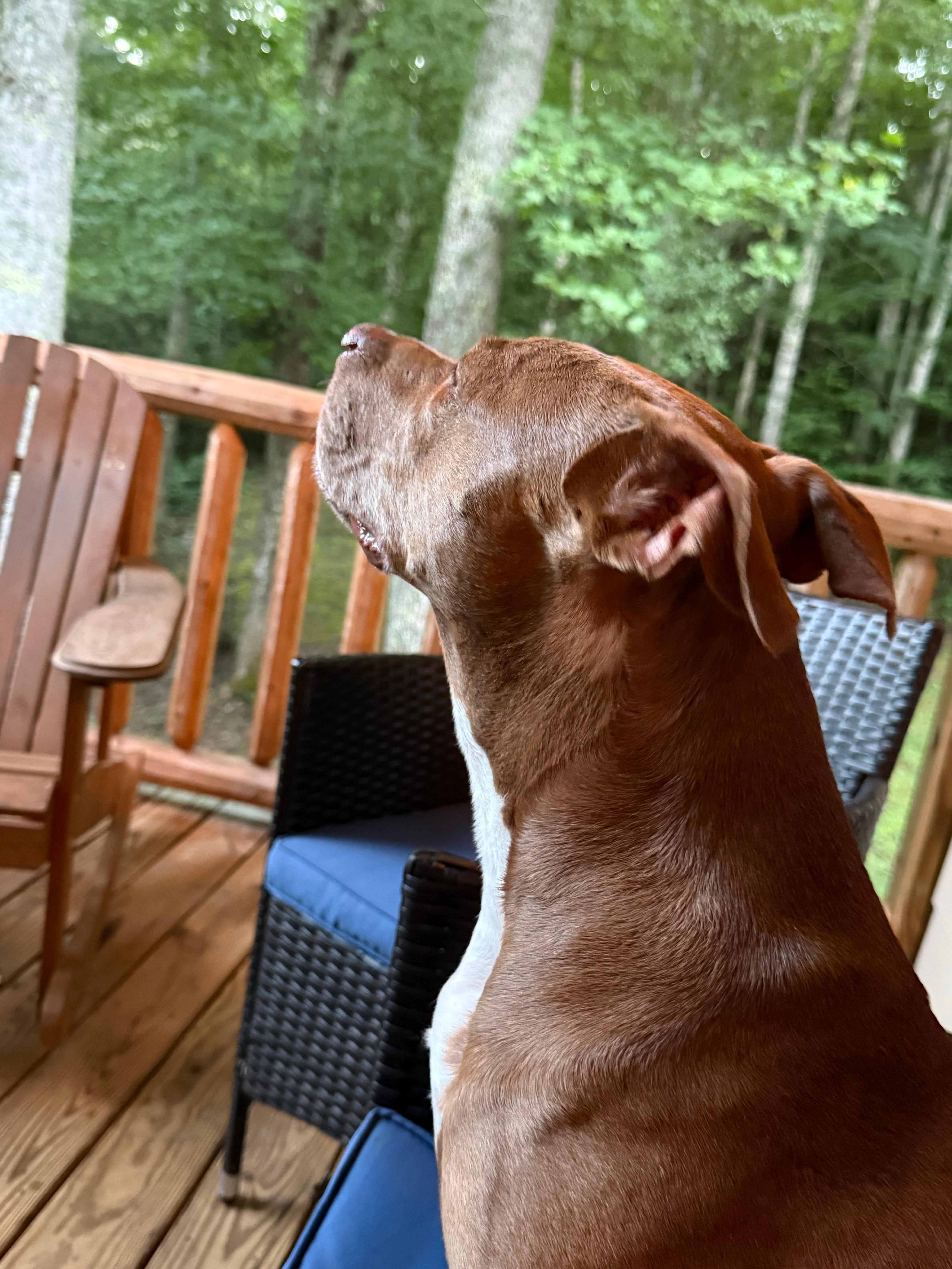 So many great smells!