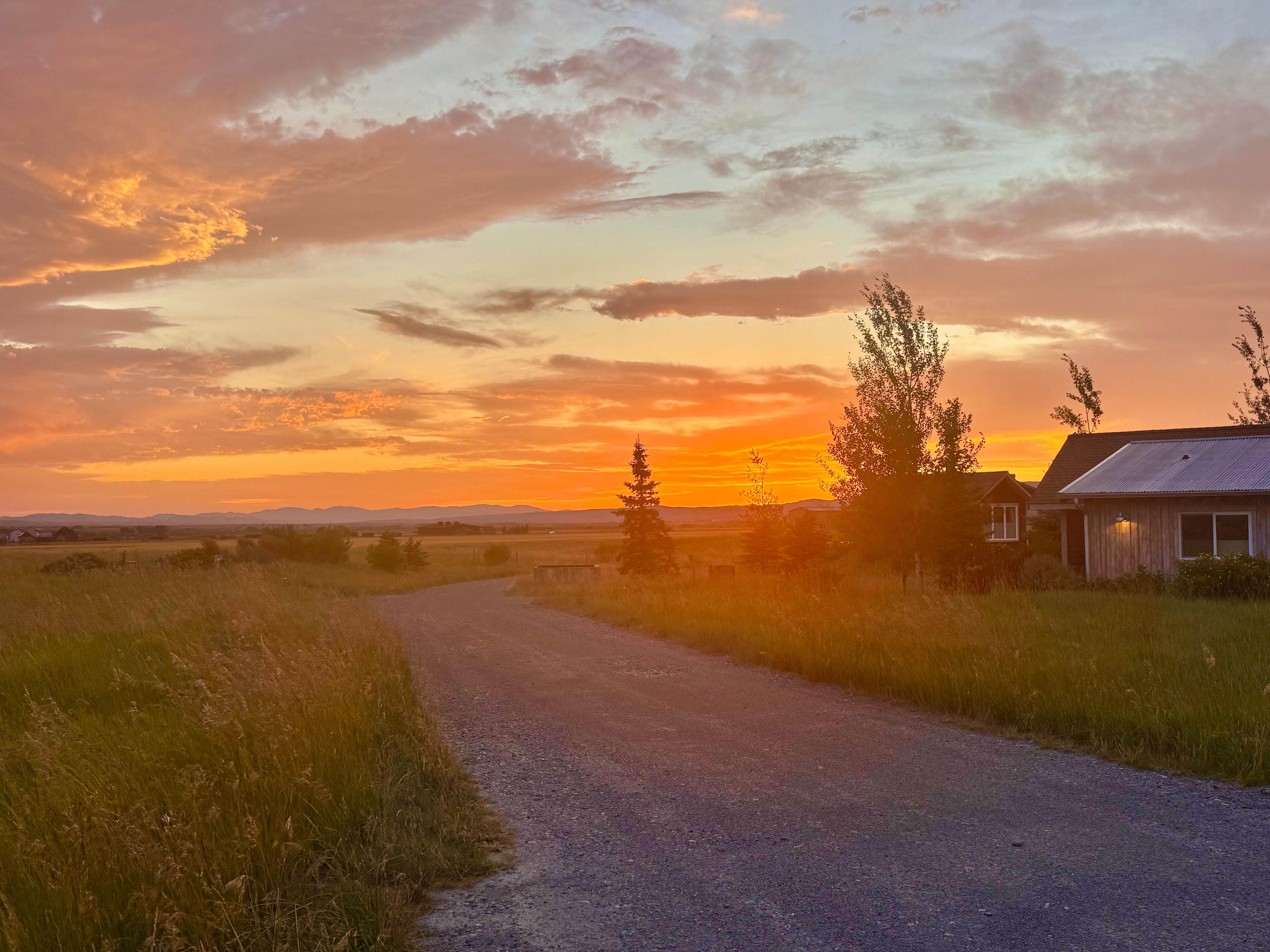 Another sunset 