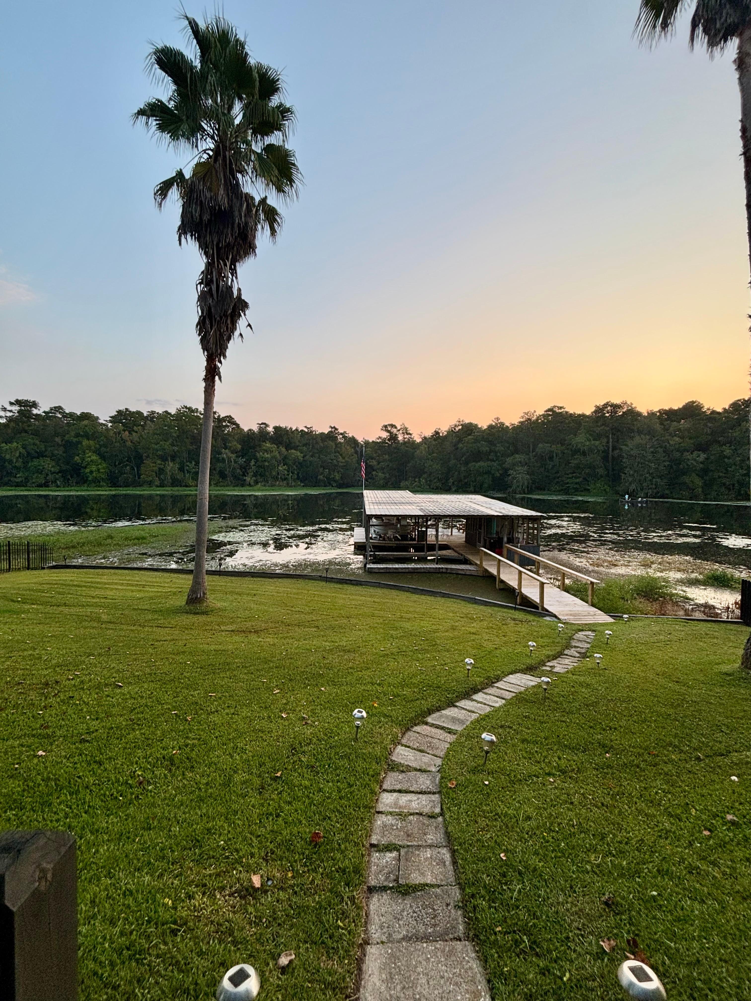 The view from the back porch. 
