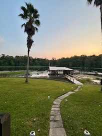 The view from the back porch.