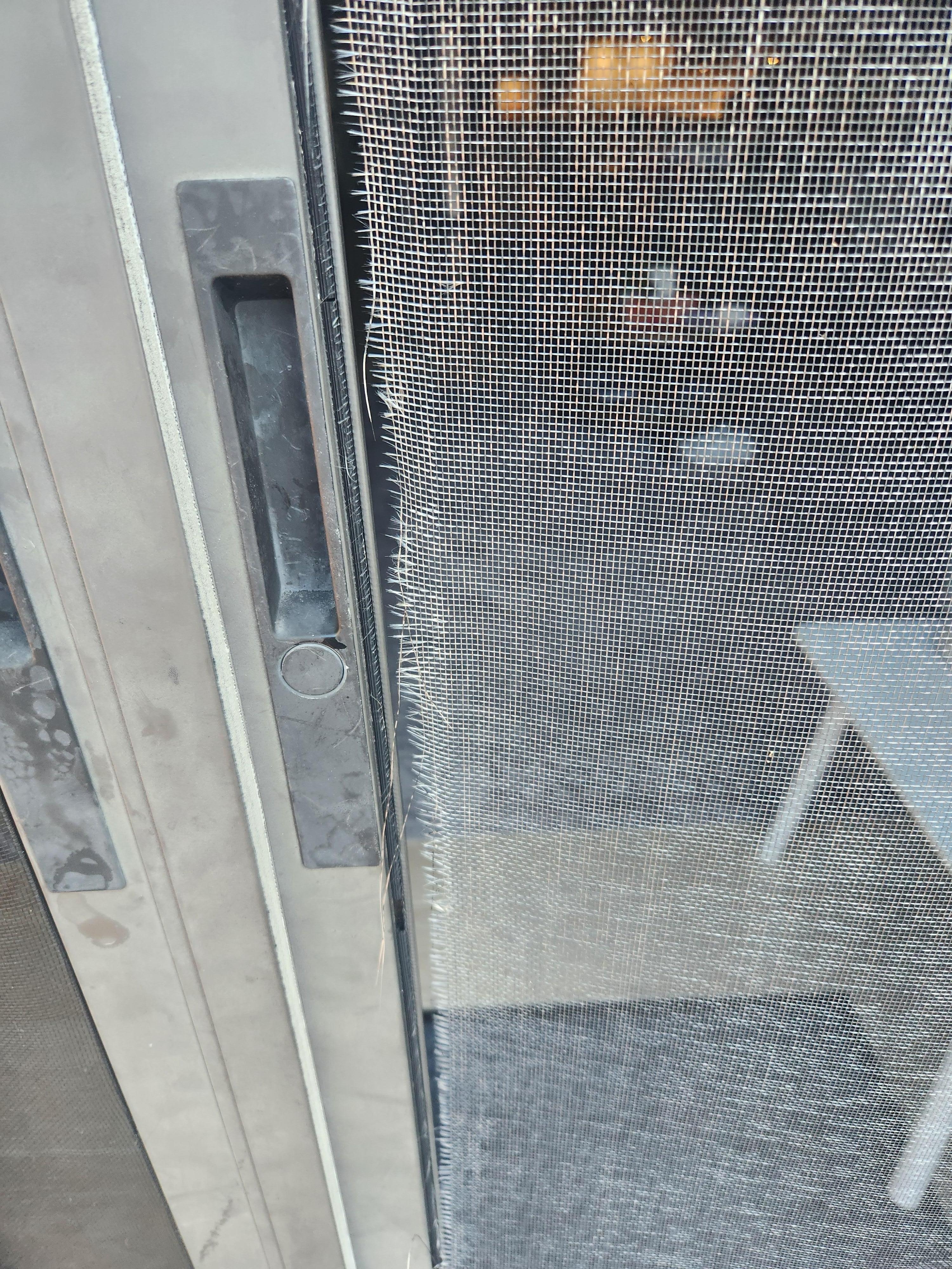 Sceendoor ripped leading to deck.