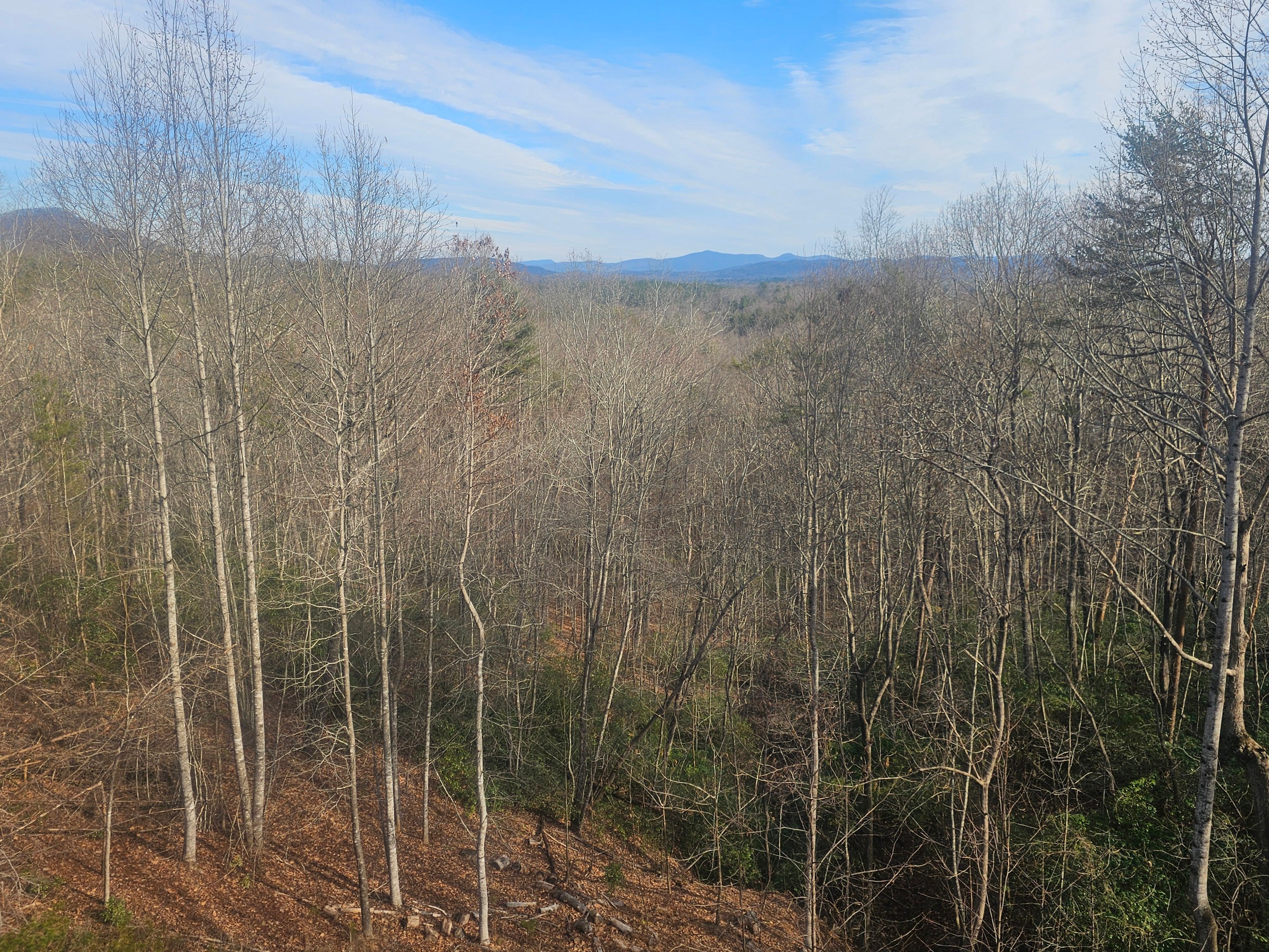 Beautiful views from the back decks.