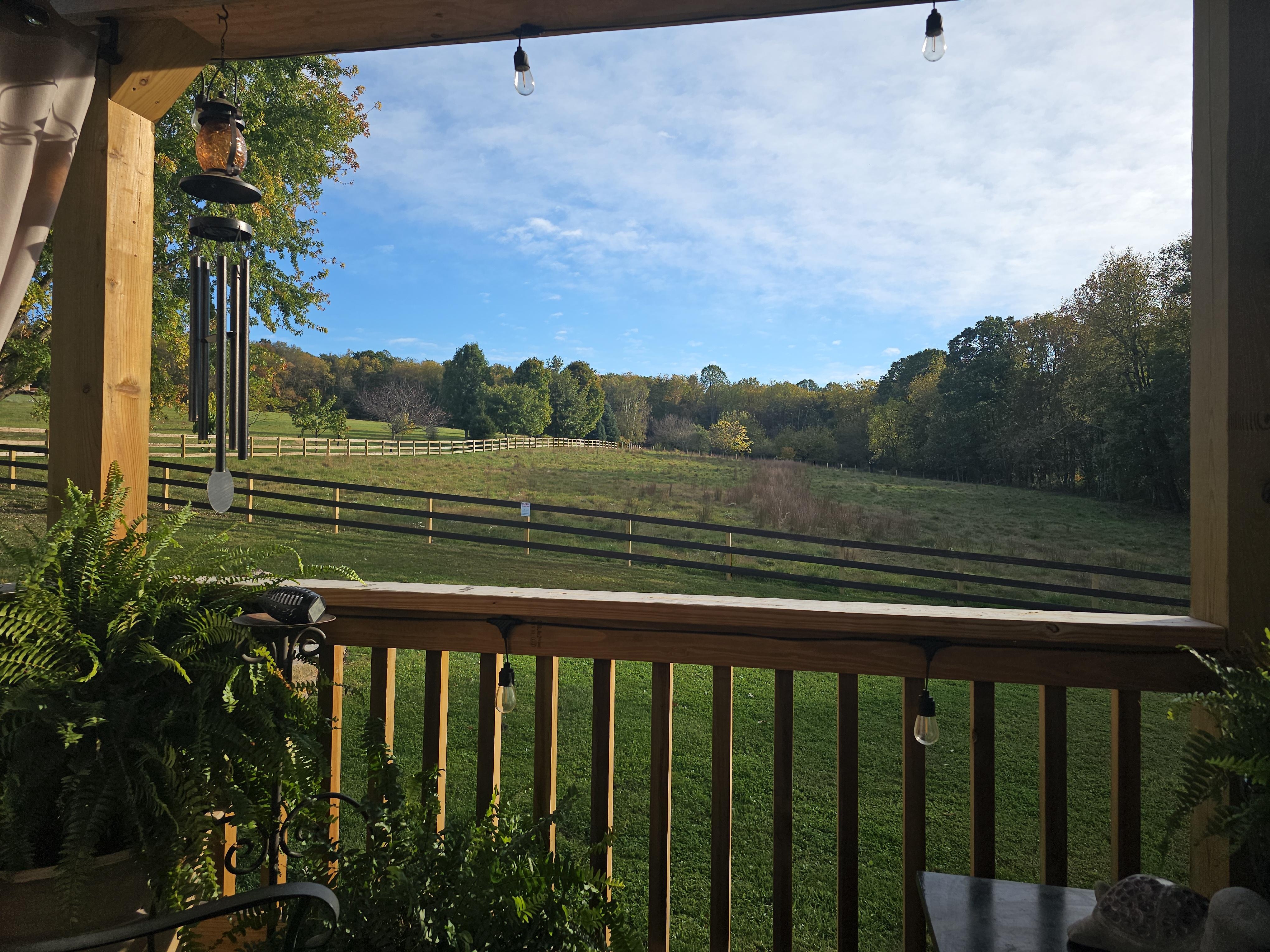 Relaxing on the deck!