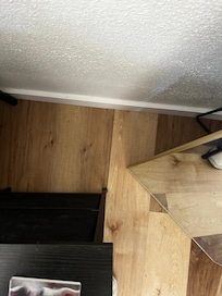 Zoom in here, pile of dead flied on floor by mirror