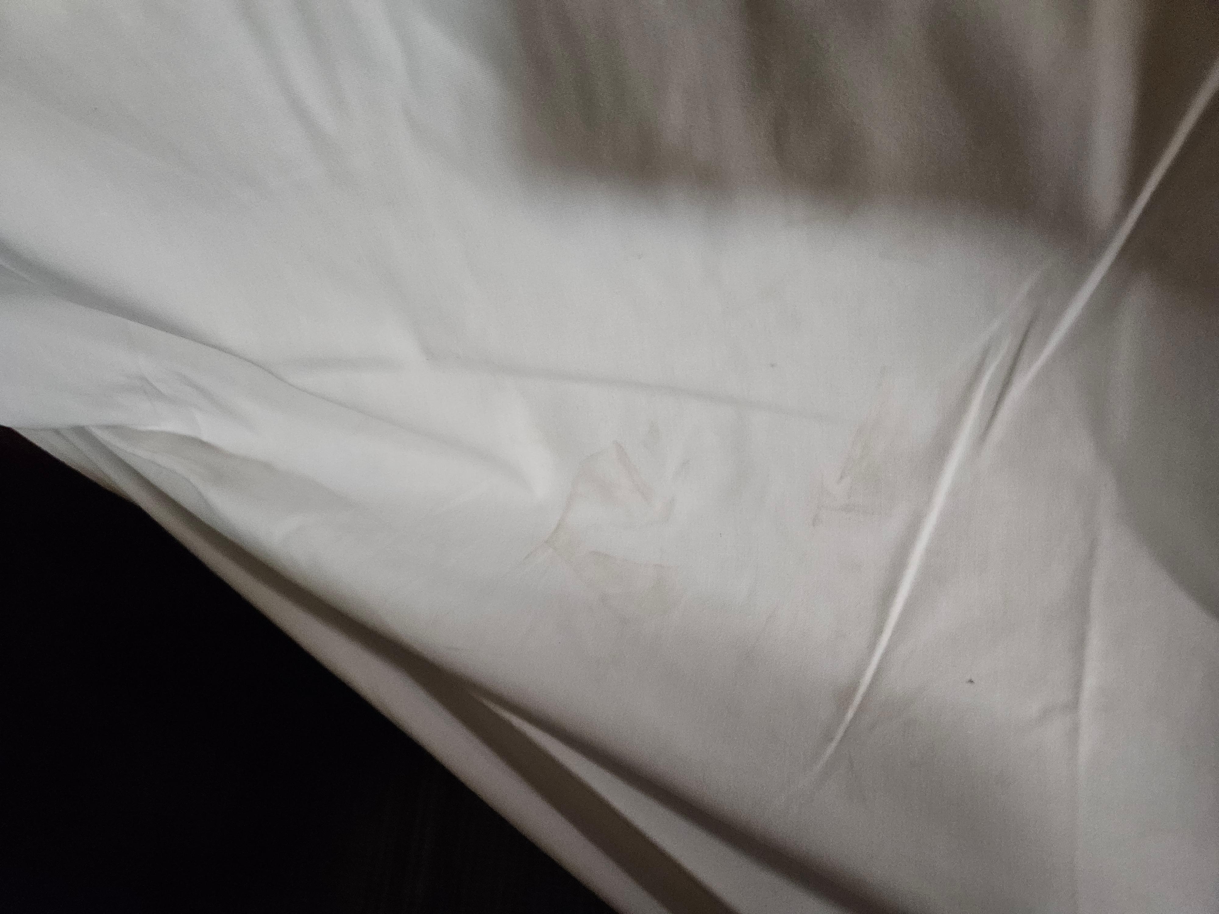 Dirty bed sheets. Don't believe they are changing them between guests or just aren't properly cleaning them.