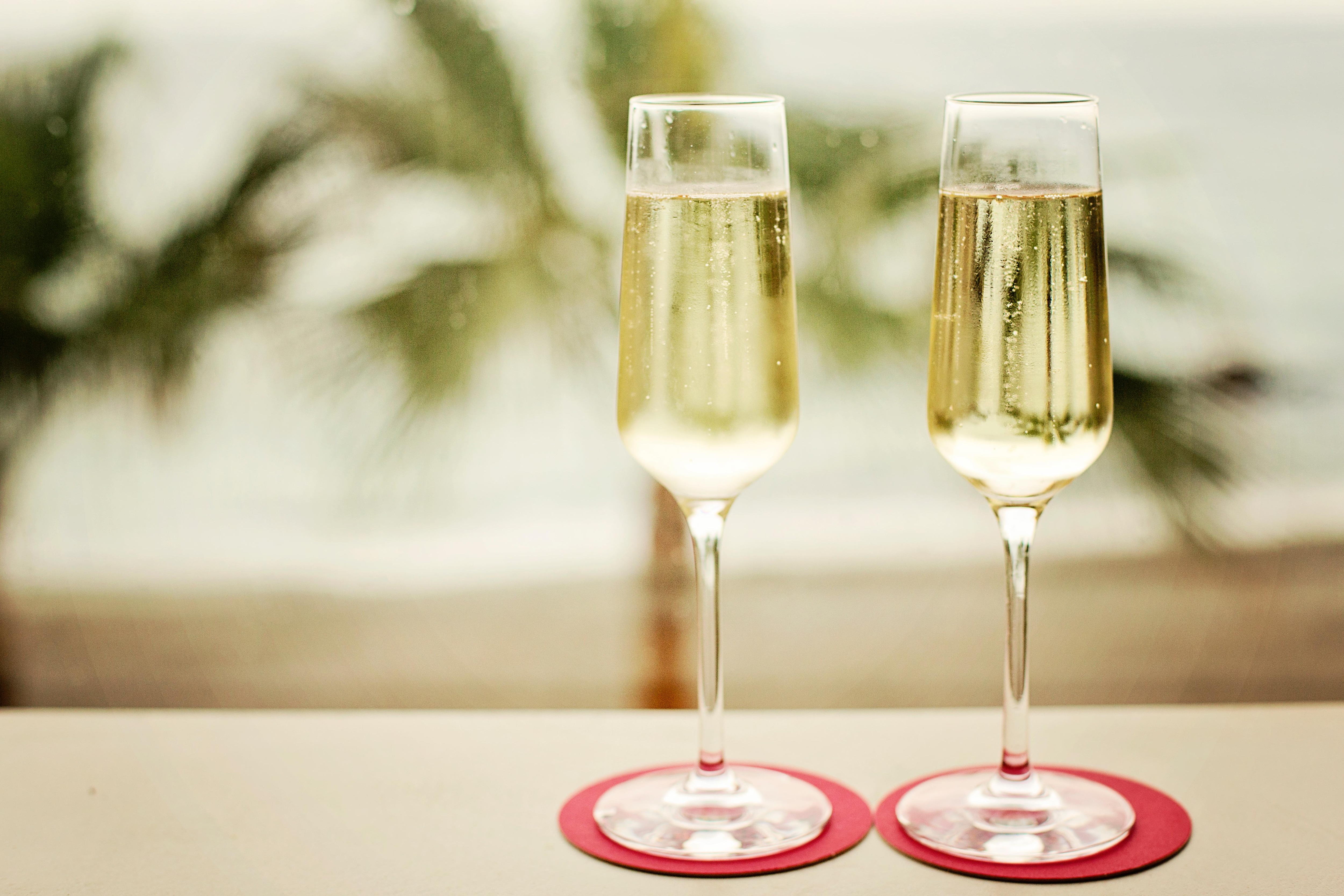 Cava over the beach at bar Lamanka