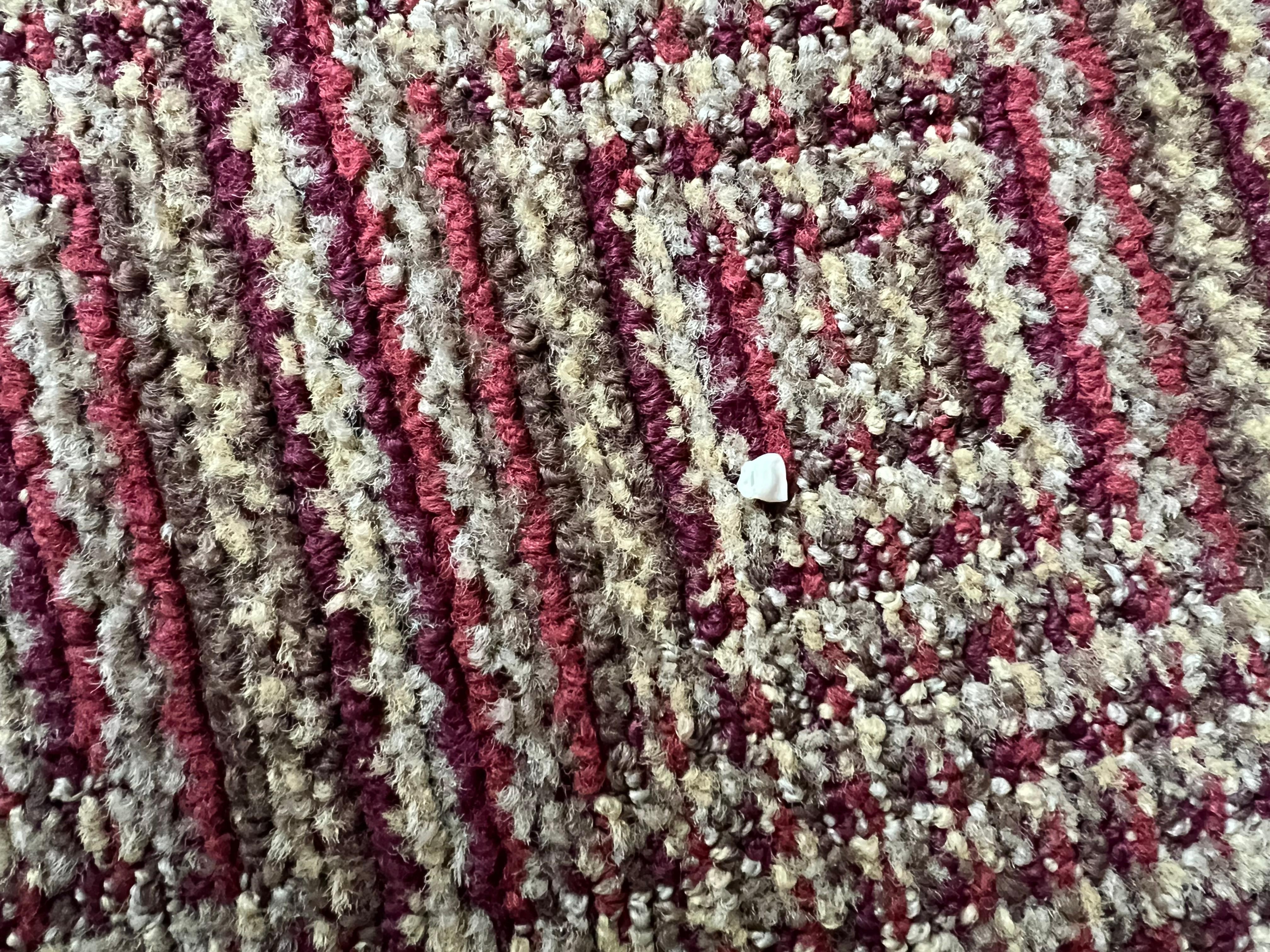 Human tooth found under the dask