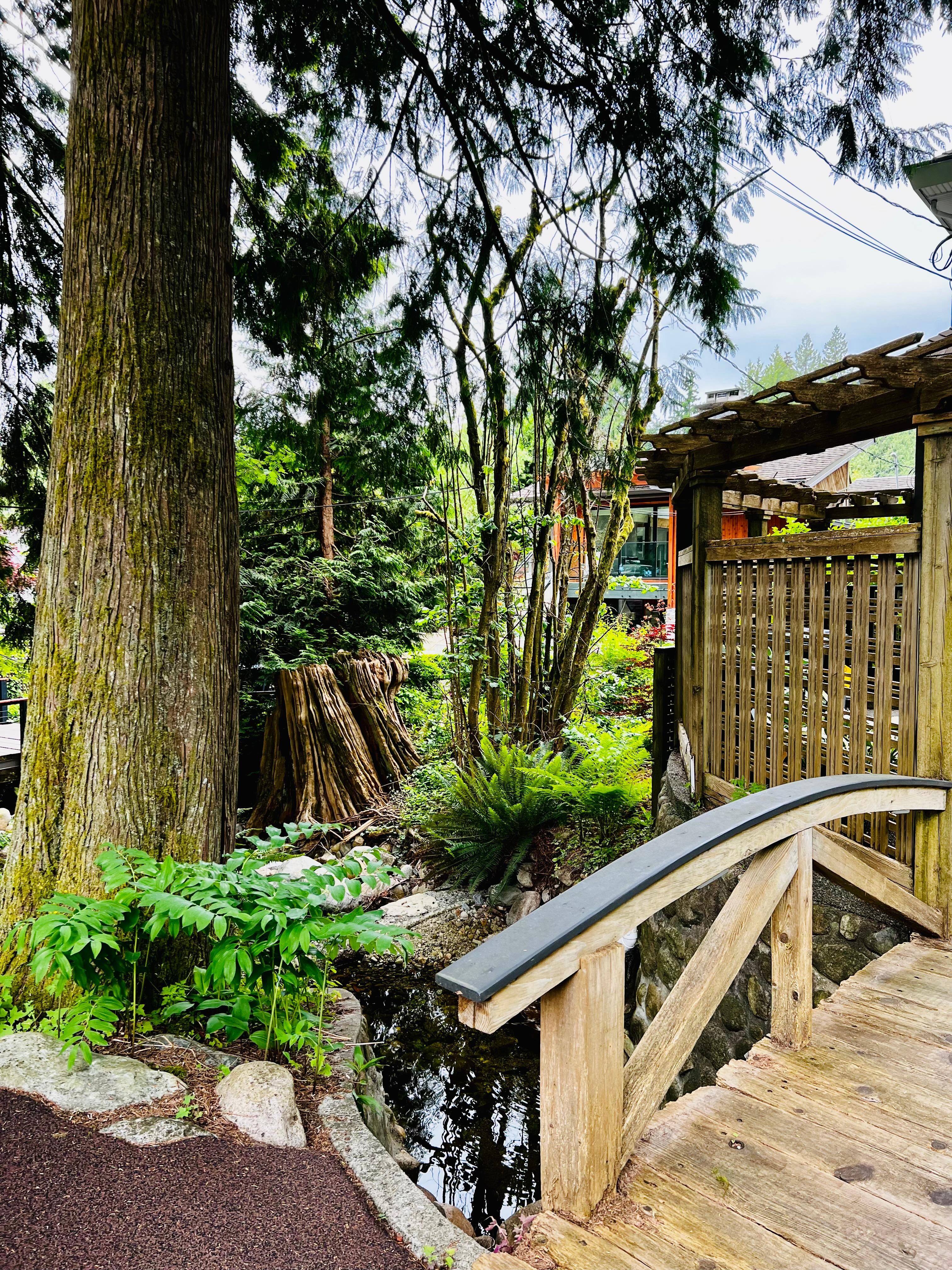 Front yard creek