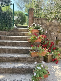 A view behind the home.