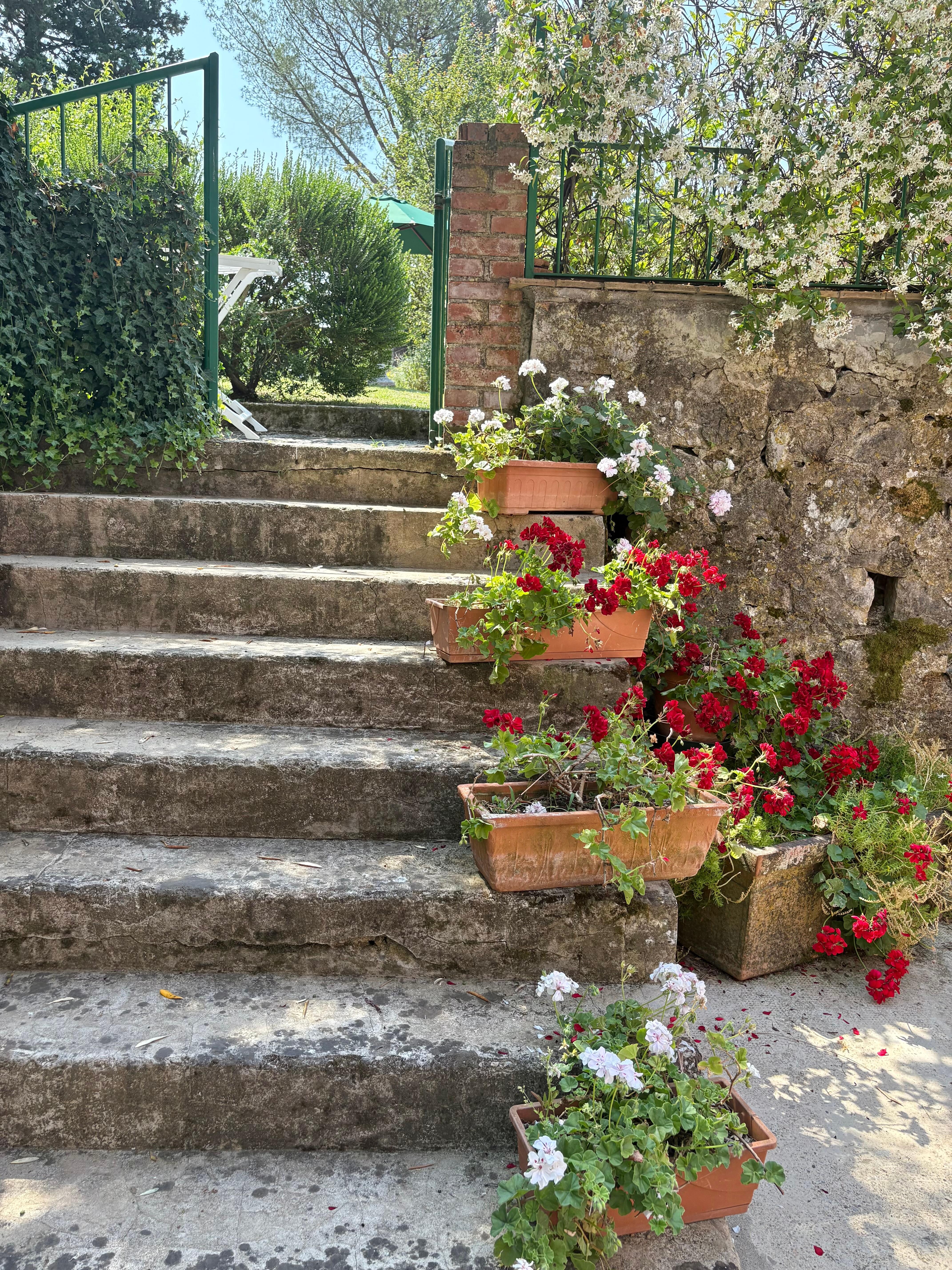 A view behind the home.