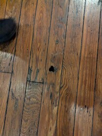 Notice the hole in the floor. Multiple damaged holes. Including brick walls and other places.