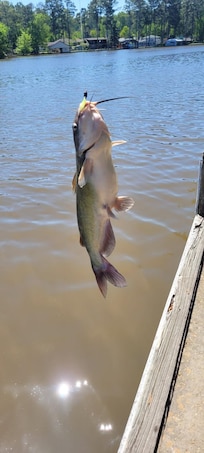 catch & release ..THIS TIME :)