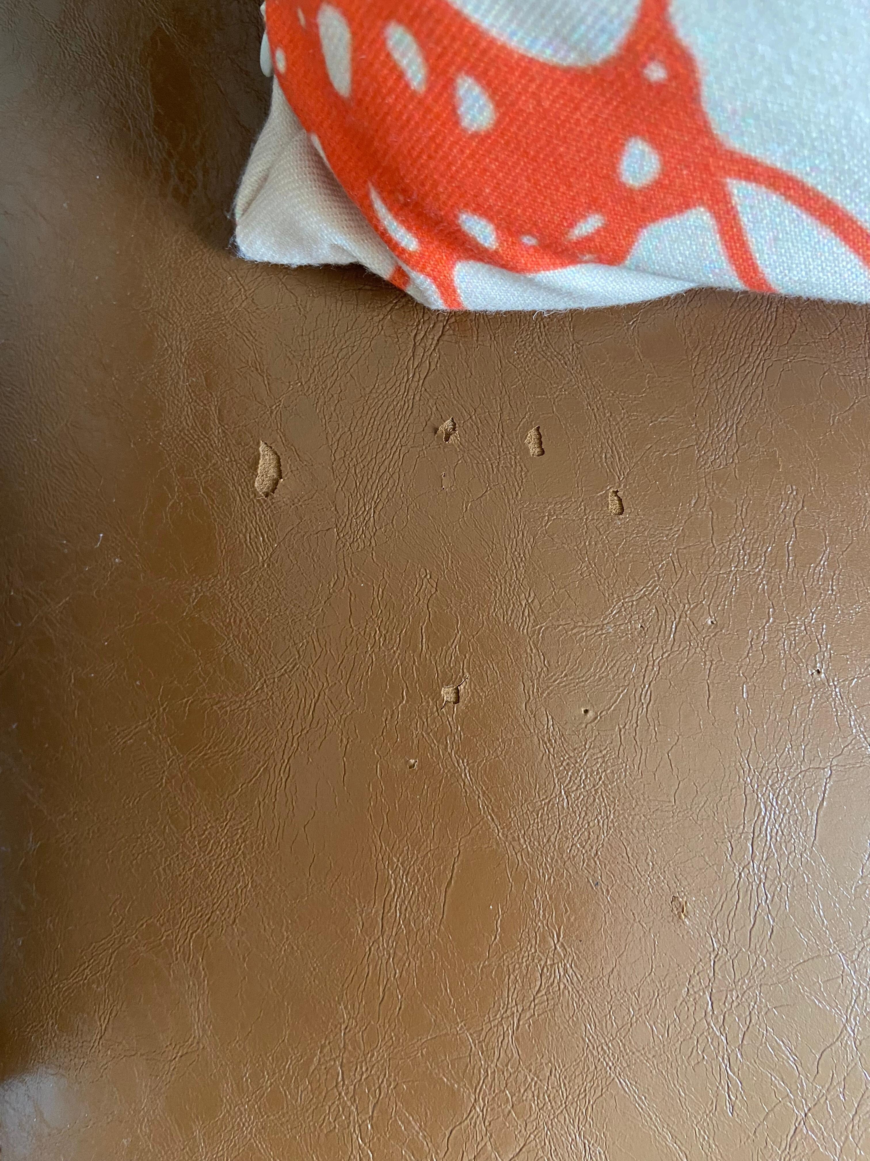 I'm assuming this is from a dog.