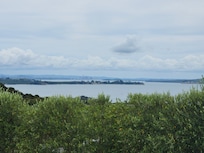 Hop on hop off bus tour on Waiheke Island.