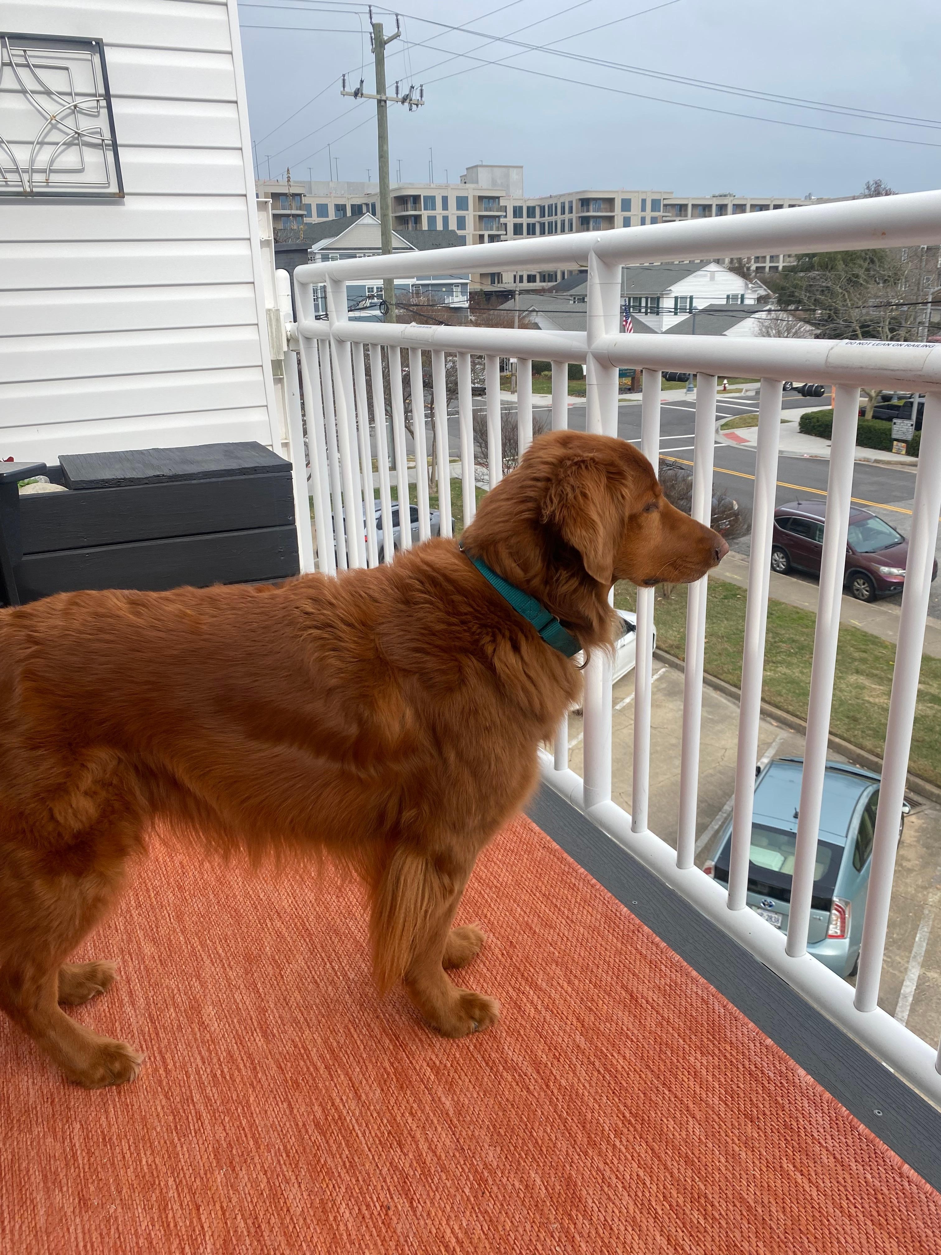 The balcony on the top floor was icing on the cake!!!